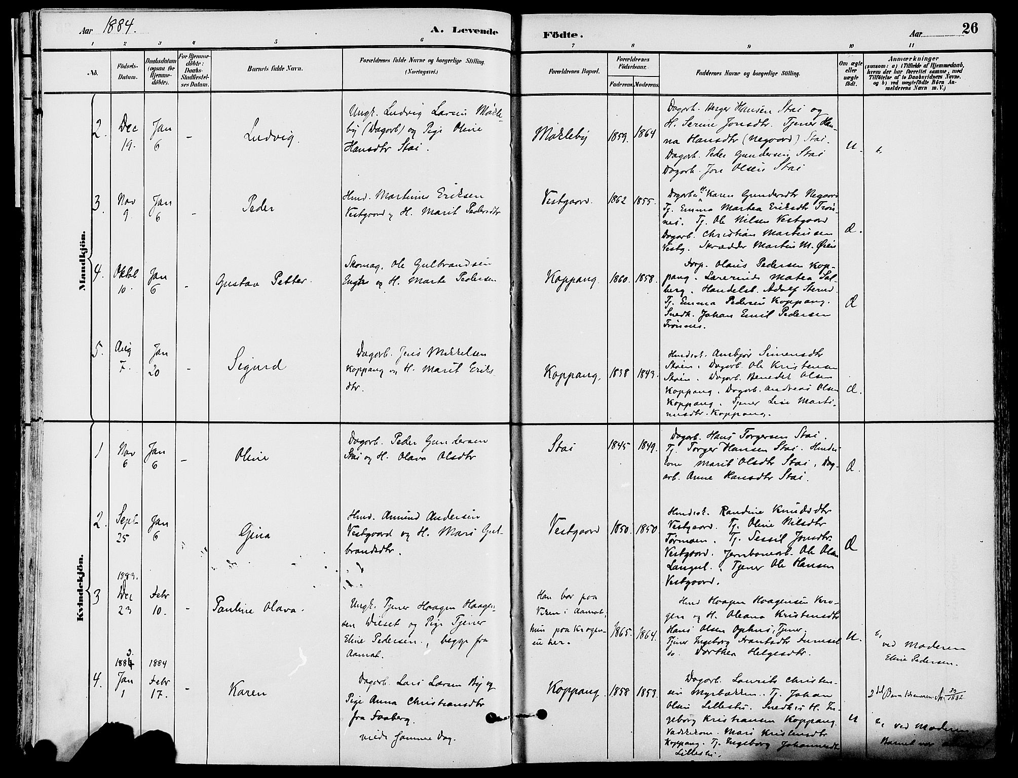 Stor-Elvdal prestekontor, SAH/PREST-052/H/Ha/Haa/L0002: Parish register (official) no. 2, 1882-1907, p. 26