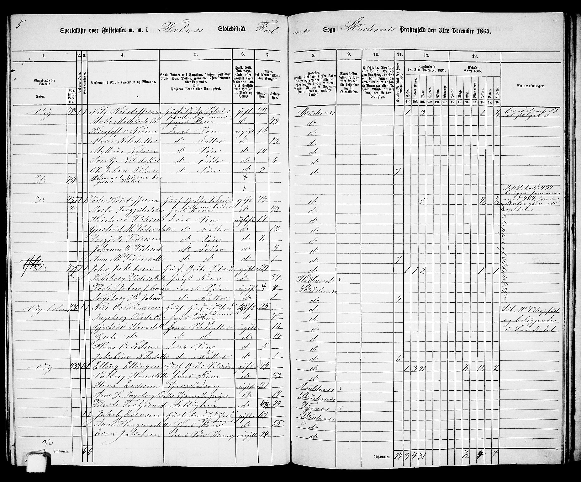 RA, 1865 census for Skudenes, 1865, p. 171