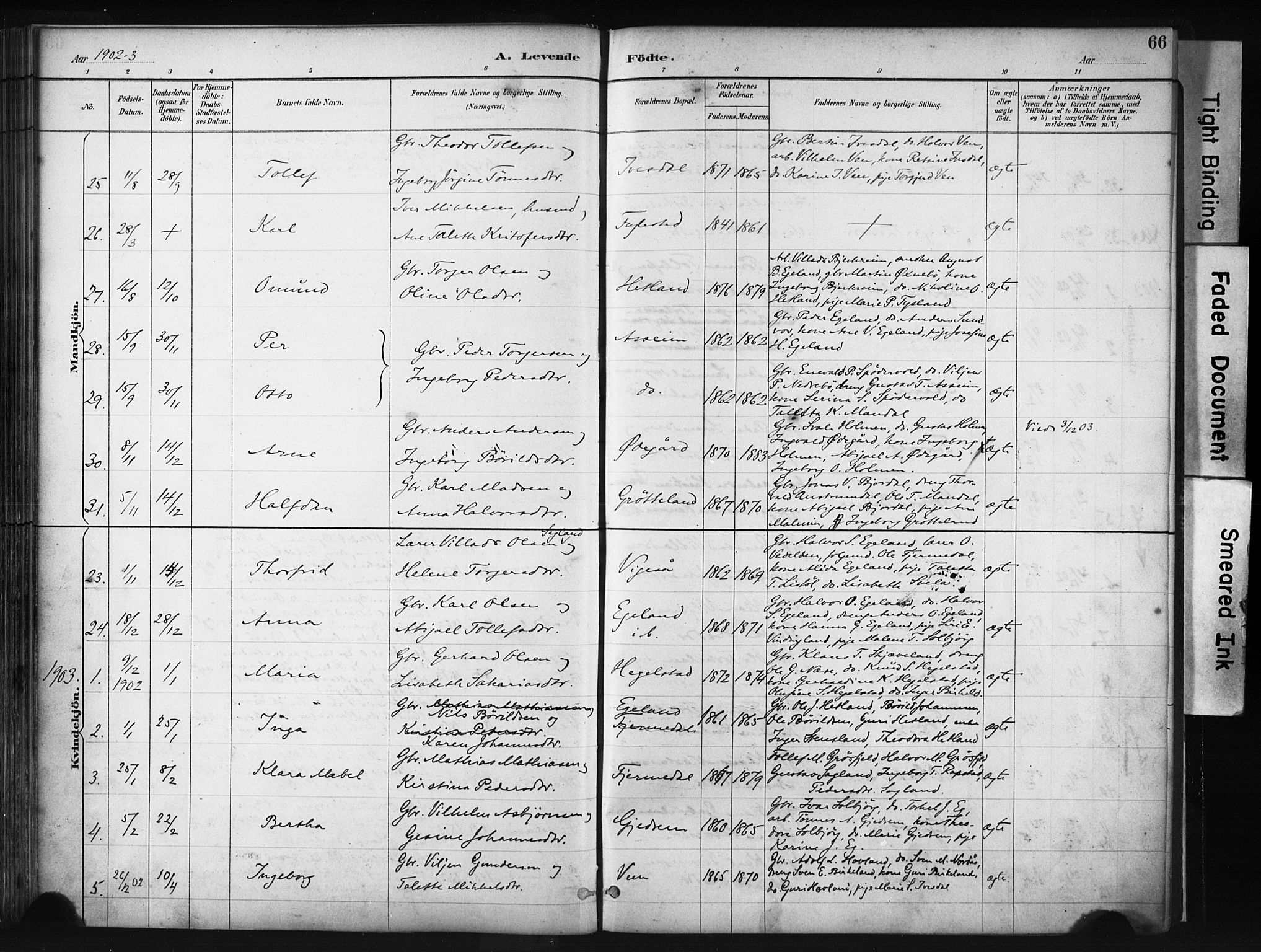 Helleland sokneprestkontor, AV/SAST-A-101810: Parish register (official) no. A 9, 1887-1908, p. 66