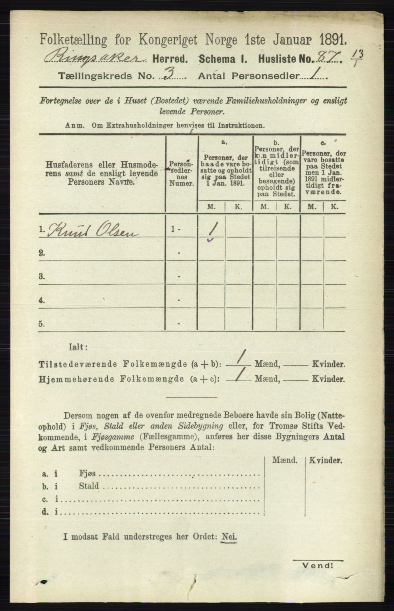 RA, 1891 census for 0412 Ringsaker, 1891, p. 1248