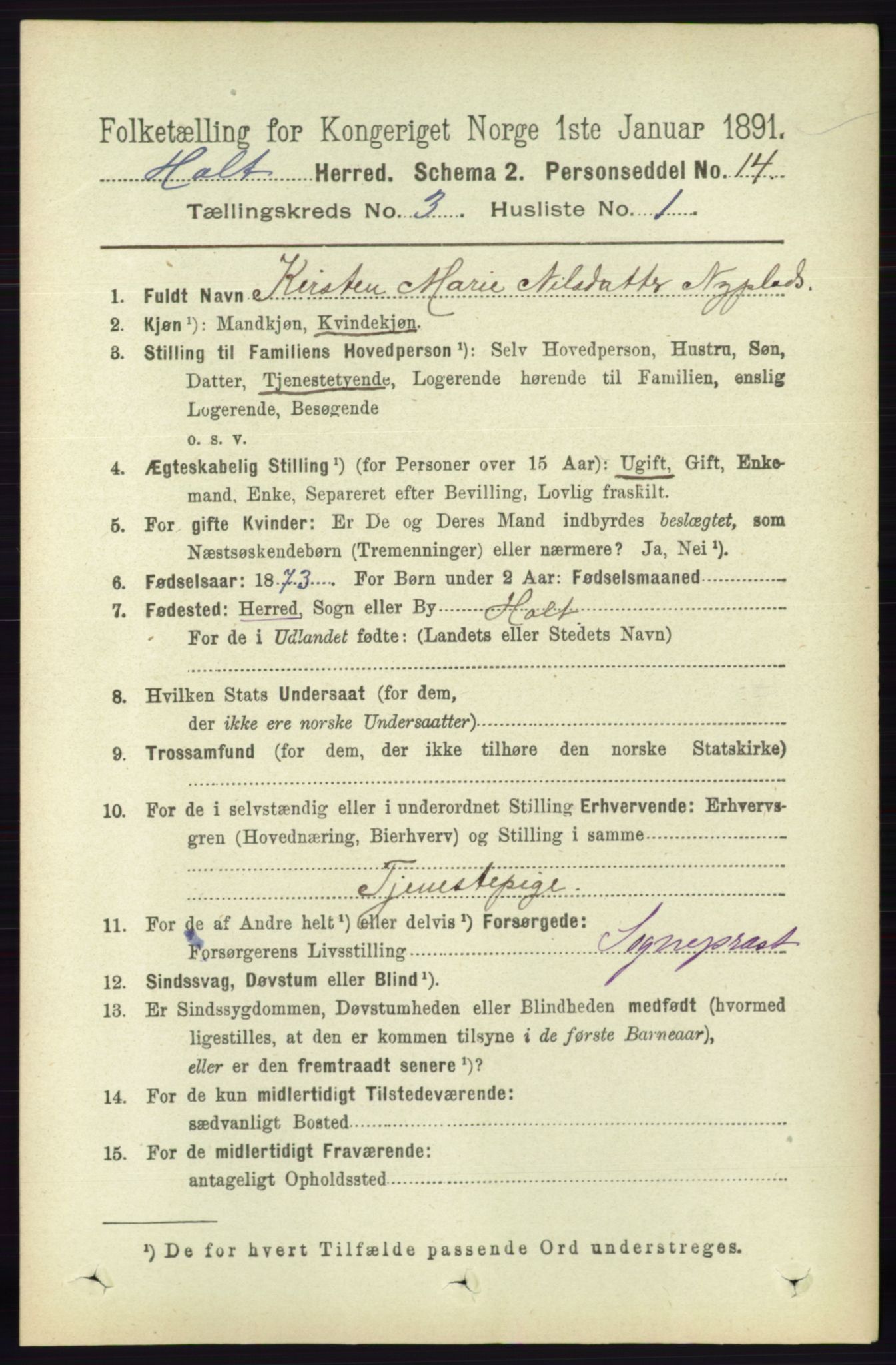 RA, 1891 census for 0914 Holt, 1891, p. 1049