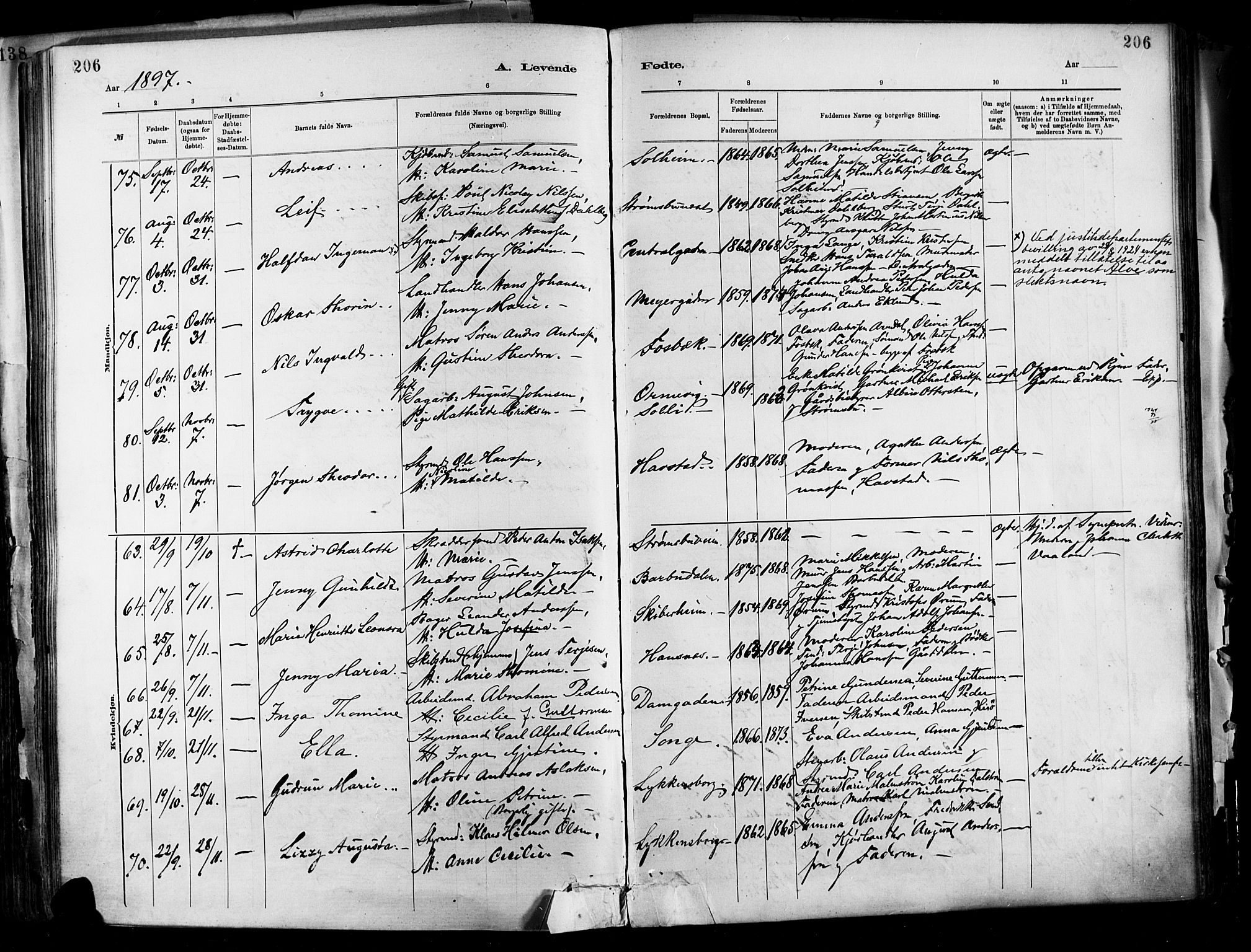 Barbu sokneprestkontor, SAK/1111-0003/F/Fa/L0002: Parish register (official) no. A 2, 1883-1898, p. 206