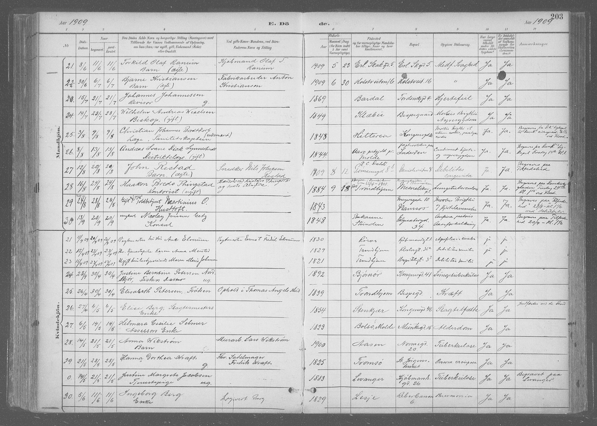 Ministerialprotokoller, klokkerbøker og fødselsregistre - Sør-Trøndelag, SAT/A-1456/601/L0064: Parish register (official) no. 601A31, 1891-1911, p. 203