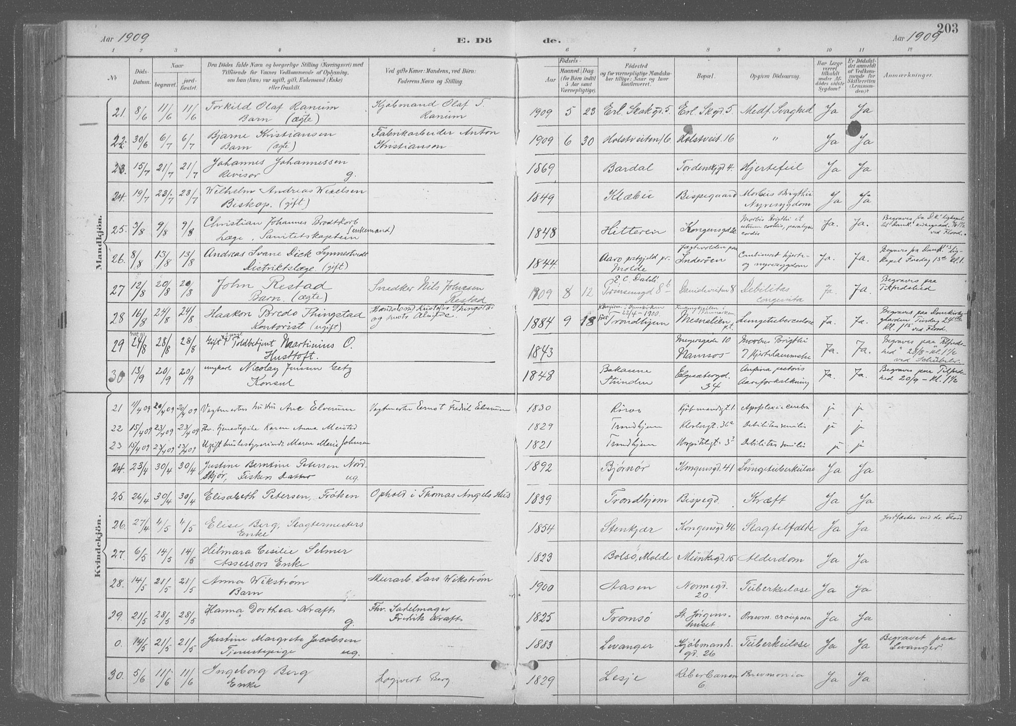 Ministerialprotokoller, klokkerbøker og fødselsregistre - Sør-Trøndelag, AV/SAT-A-1456/601/L0064: Parish register (official) no. 601A31, 1891-1911, p. 203