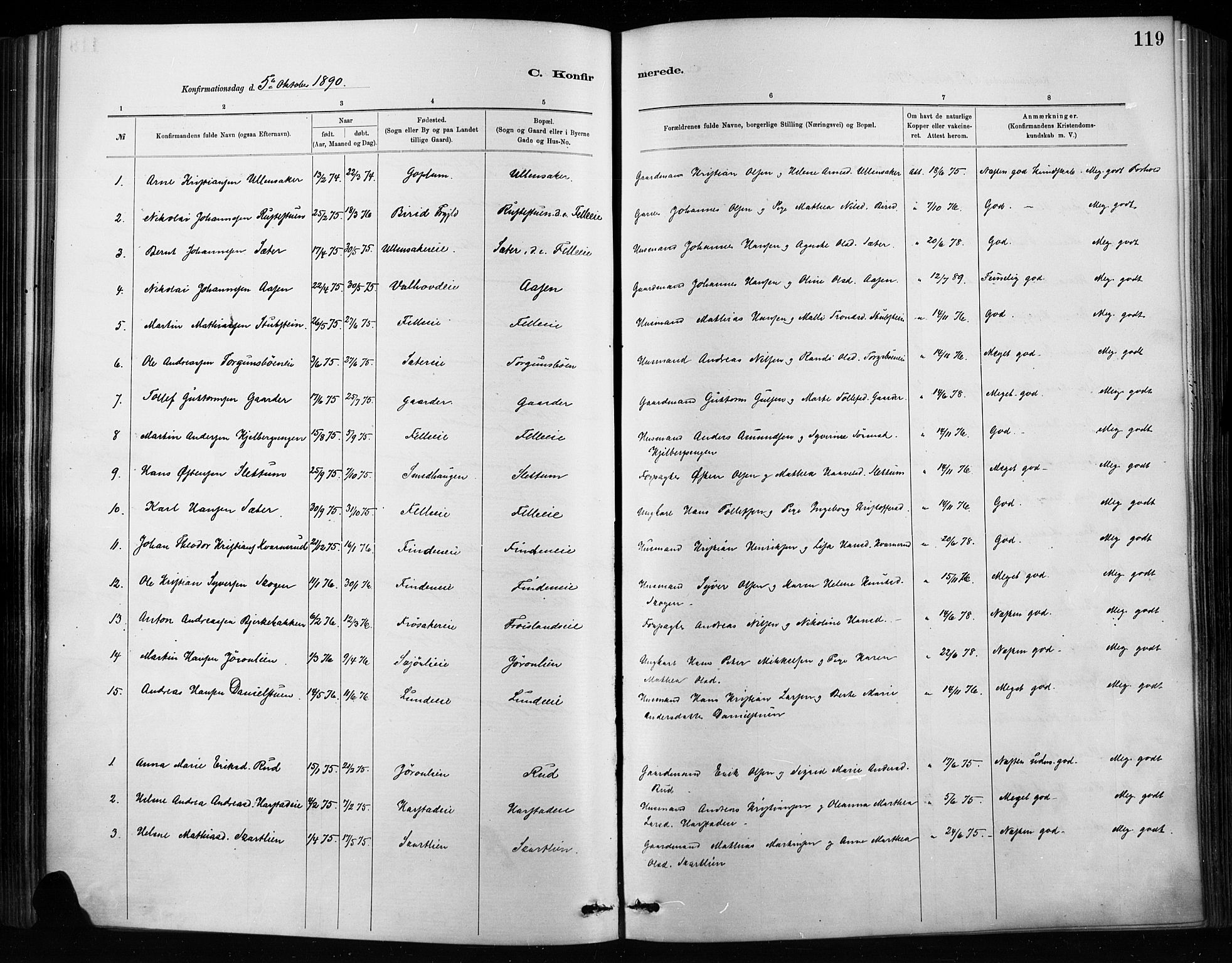 Nordre Land prestekontor, SAH/PREST-124/H/Ha/Haa/L0004: Parish register (official) no. 4, 1882-1896, p. 119