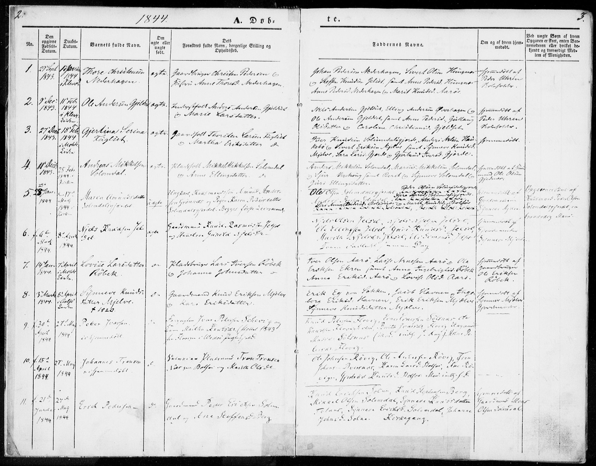 Ministerialprotokoller, klokkerbøker og fødselsregistre - Møre og Romsdal, SAT/A-1454/555/L0653: Parish register (official) no. 555A04, 1843-1869, p. 2-3