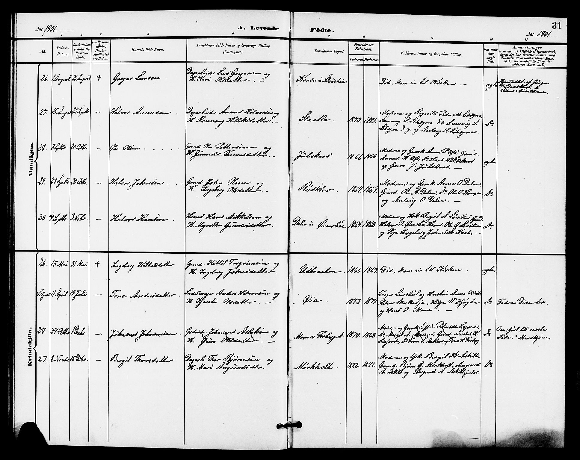 Bø kirkebøker, SAKO/A-257/G/Ga/L0006: Parish register (copy) no. 6, 1898-1909, p. 31