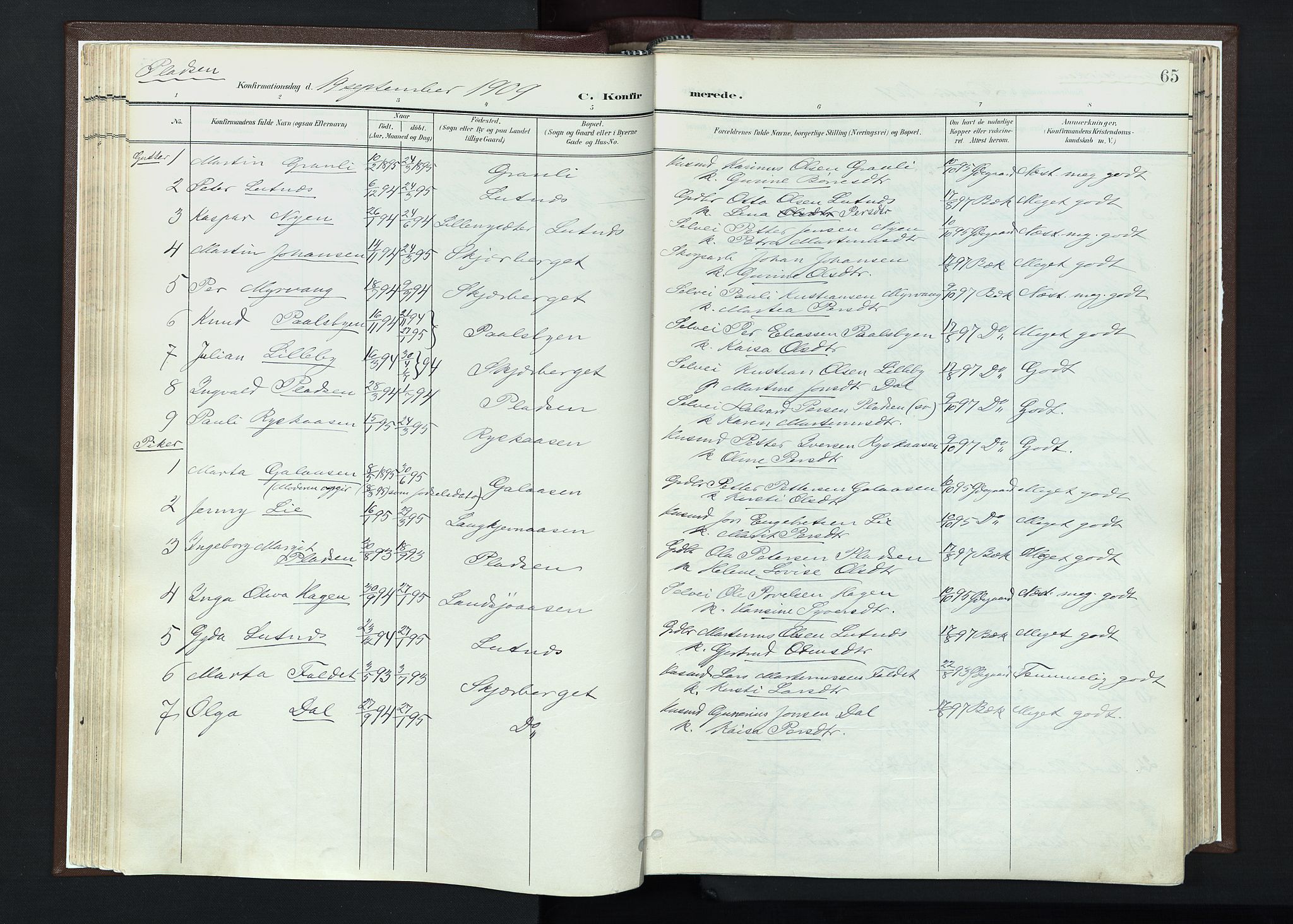 Trysil prestekontor, SAH/PREST-046/H/Ha/Haa/L0013: Parish register (official) no. 13, 1898-1911, p. 65