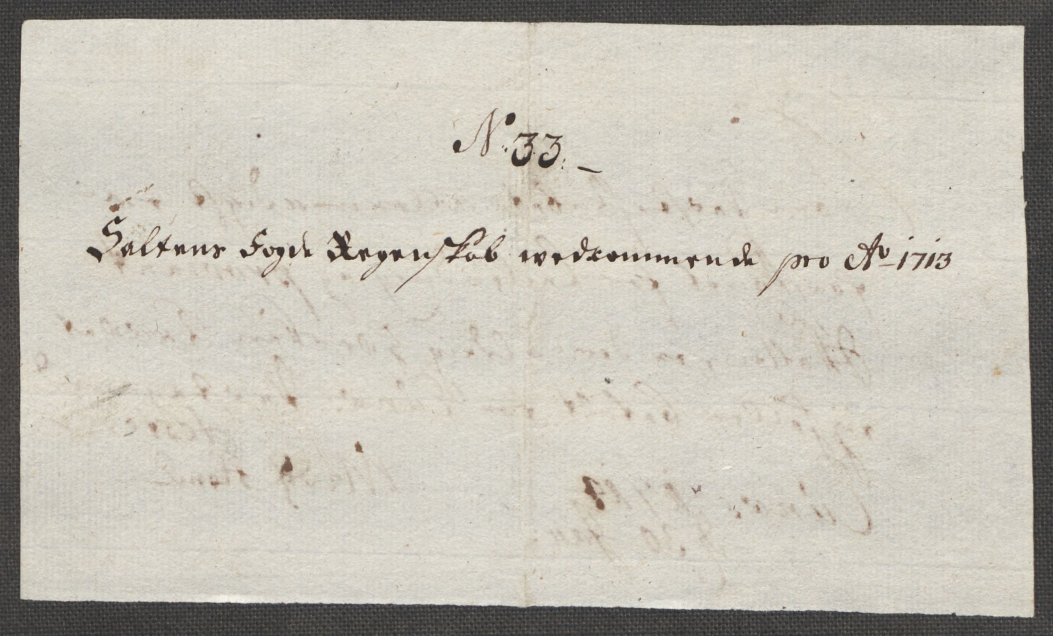 Rentekammeret inntil 1814, Reviderte regnskaper, Fogderegnskap, AV/RA-EA-4092/R66/L4583: Fogderegnskap Salten, 1713, p. 194