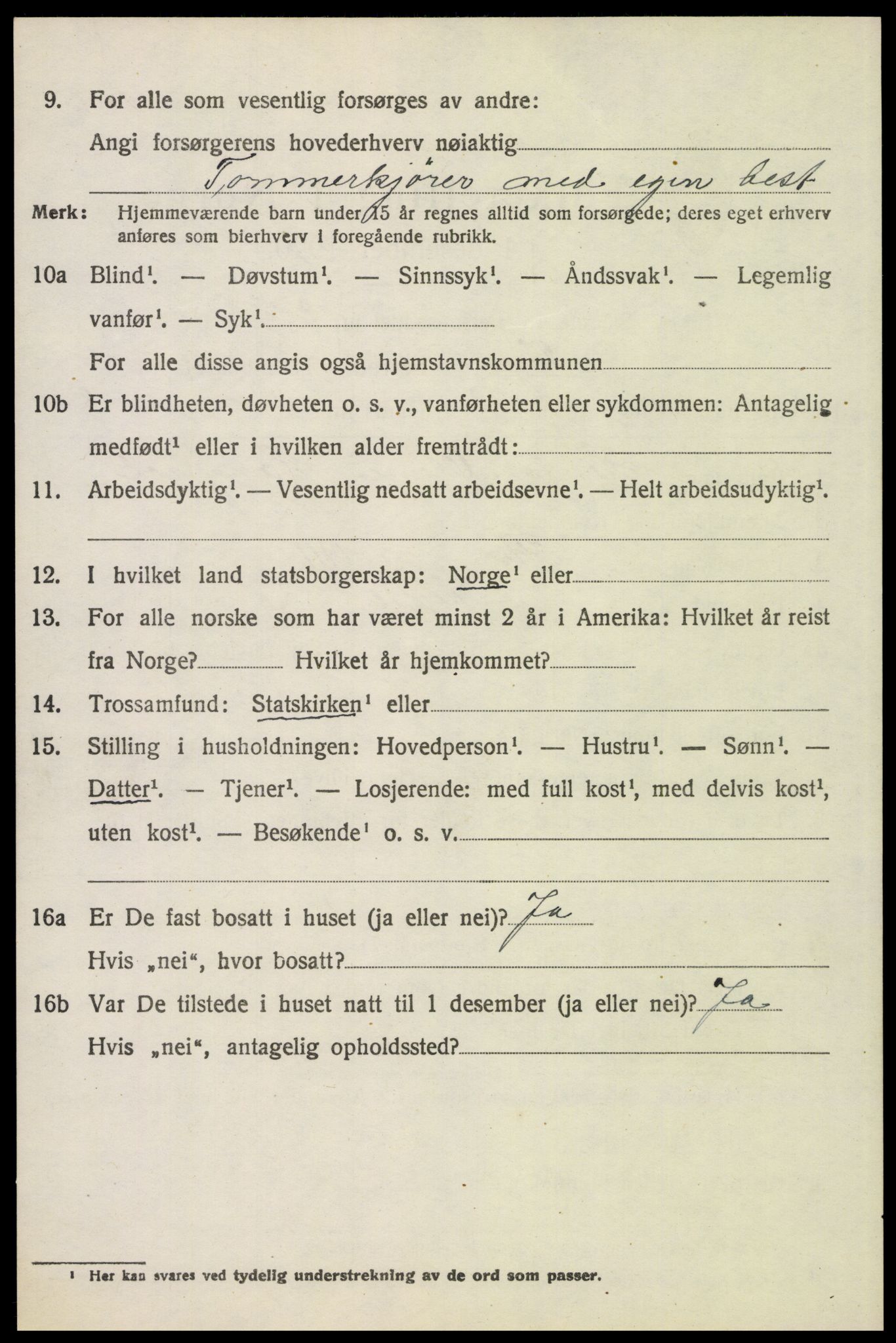 SAH, 1920 census for Trysil, 1920, p. 6658