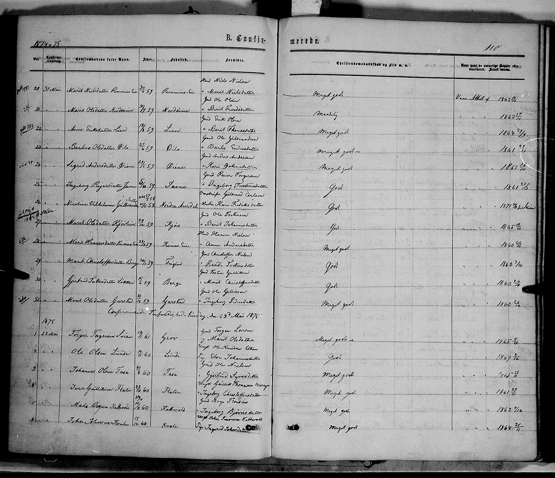 Vang prestekontor, Valdres, SAH/PREST-140/H/Ha/L0007: Parish register (official) no. 7, 1865-1881, p. 110