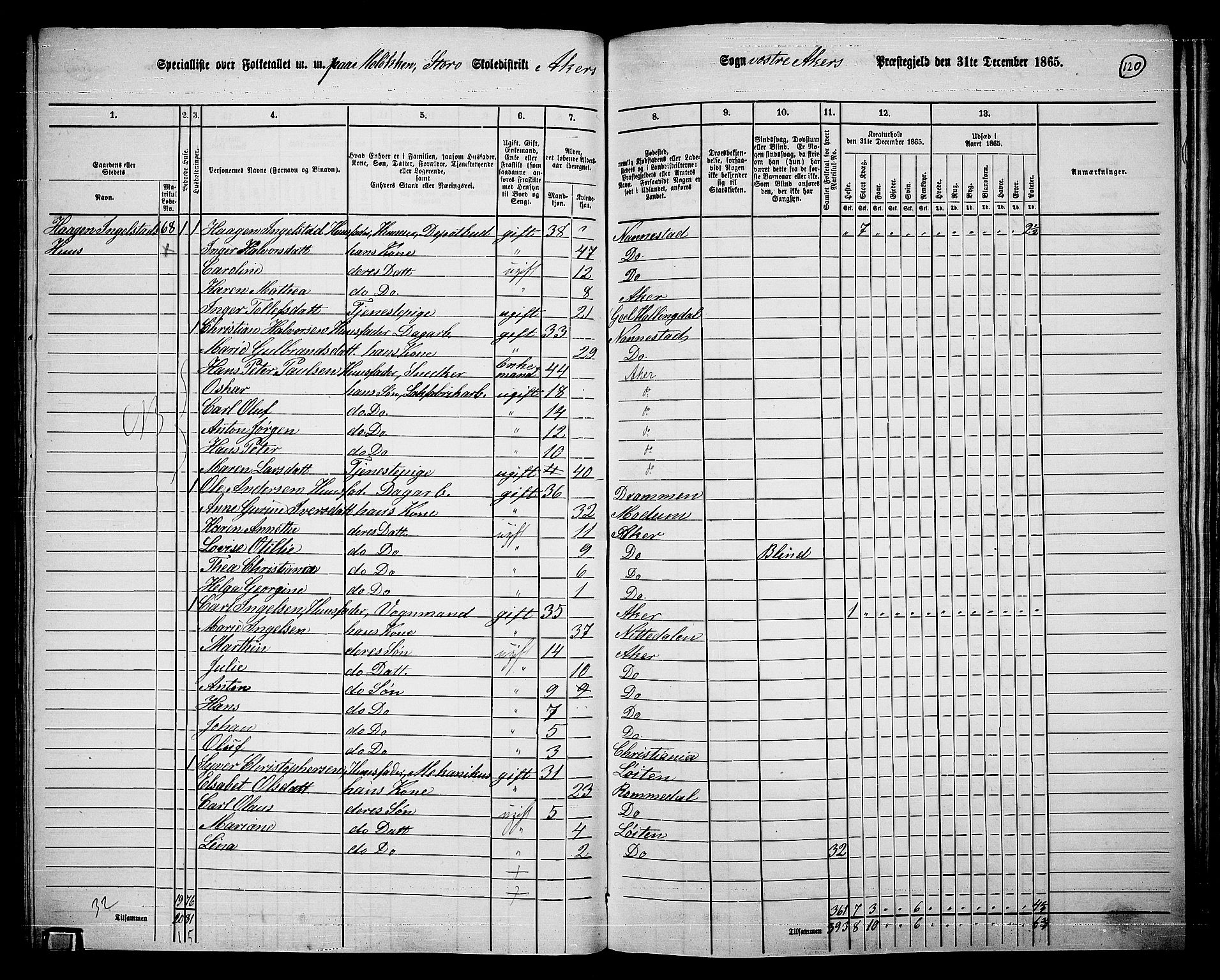 RA, 1865 census for Vestre Aker, 1865, p. 288