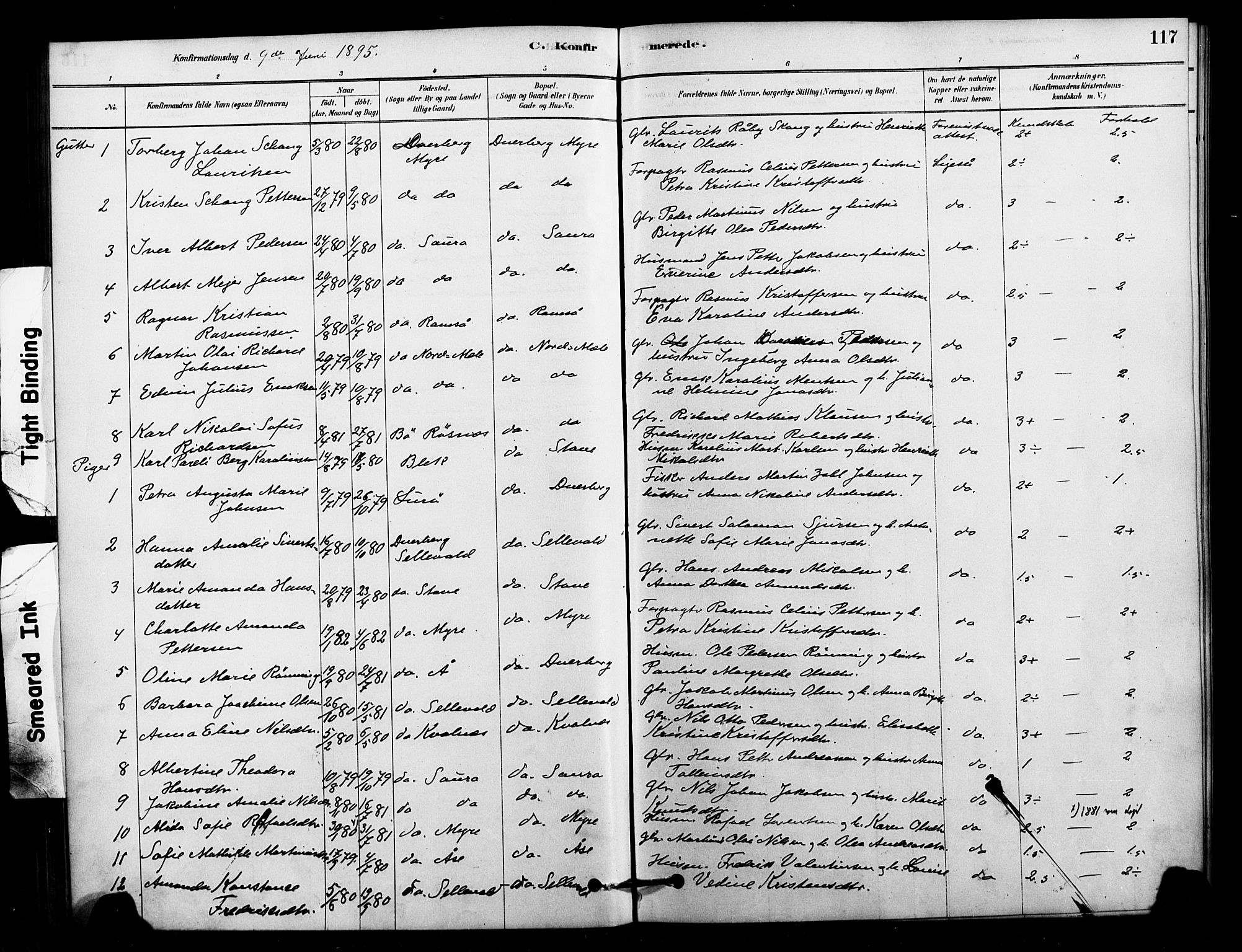 Ministerialprotokoller, klokkerbøker og fødselsregistre - Nordland, AV/SAT-A-1459/897/L1399: Parish register (official) no. 897C06, 1881-1896, p. 117