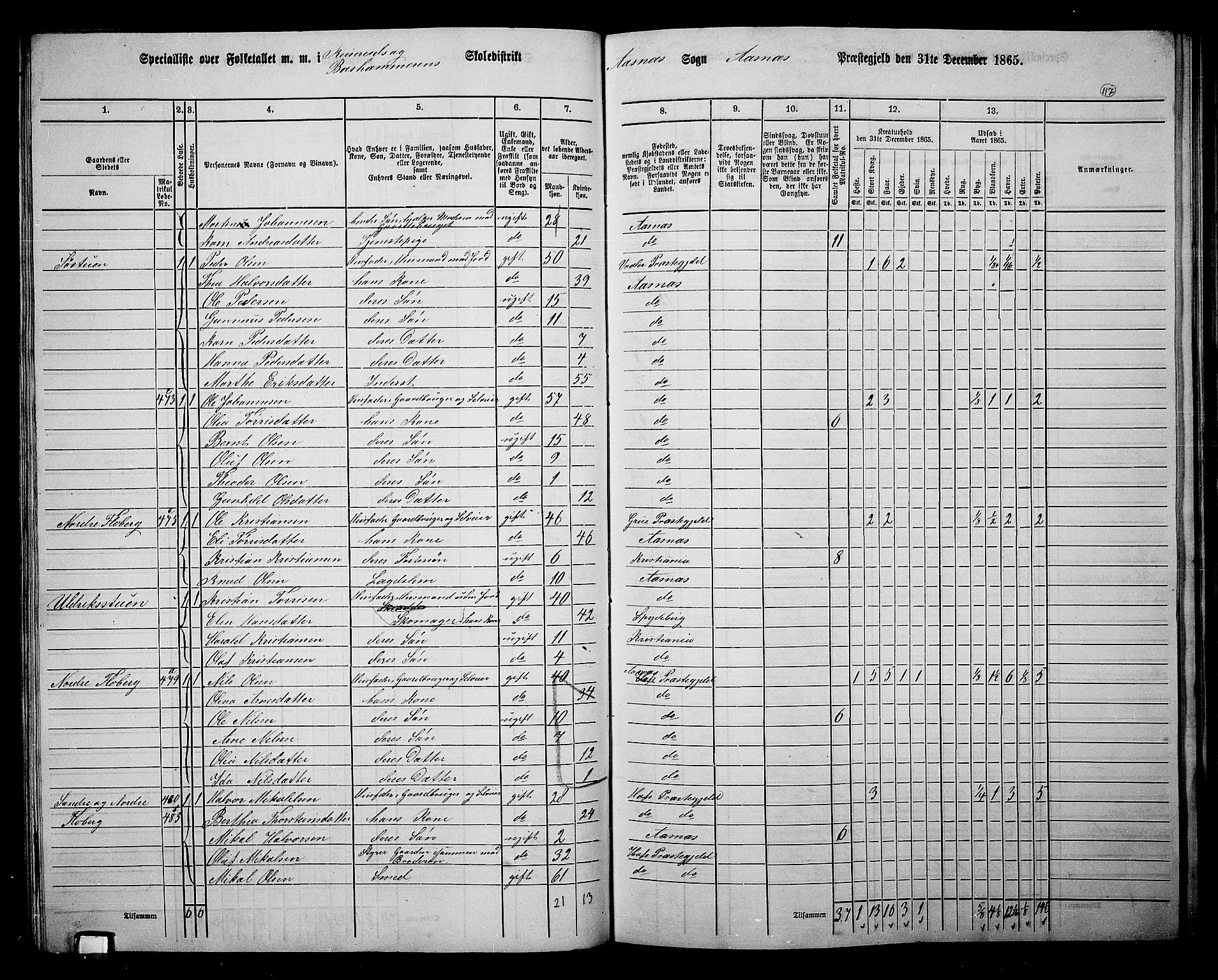 RA, 1865 census for Åsnes, 1865, p. 108