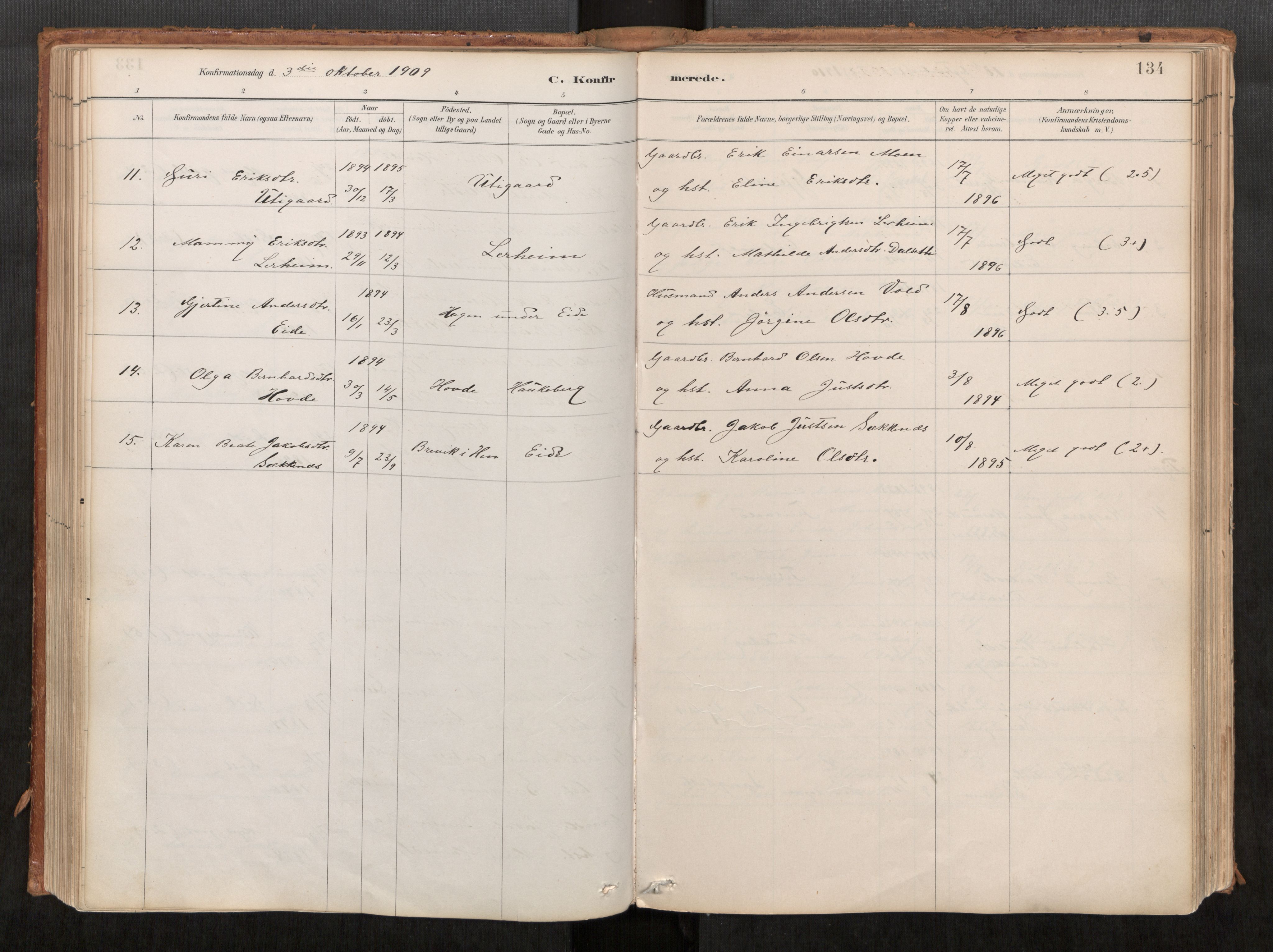 Ministerialprotokoller, klokkerbøker og fødselsregistre - Møre og Romsdal, AV/SAT-A-1454/542/L0553: Parish register (official) no. 542A03, 1885-1925, p. 134