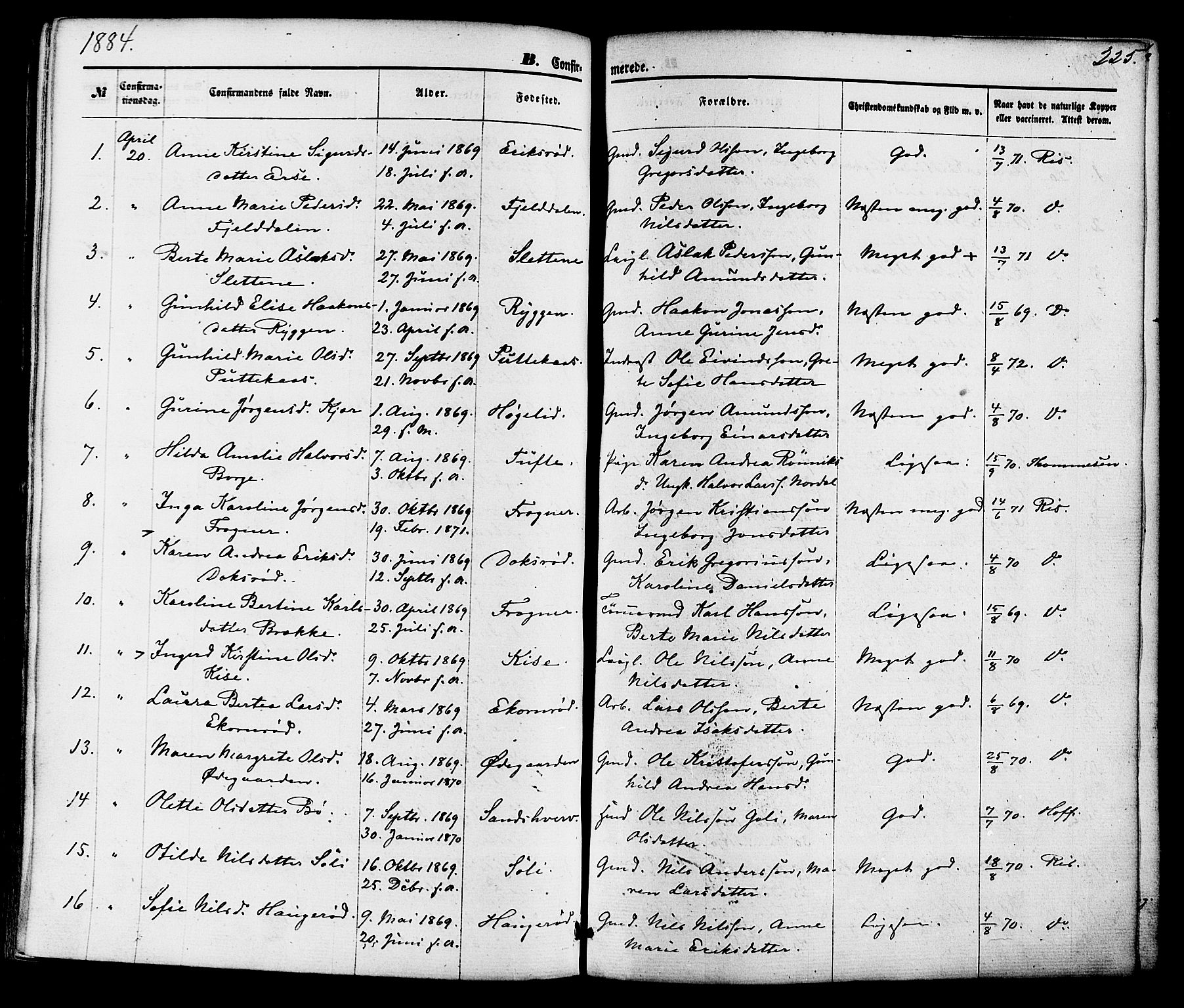 Gjerpen kirkebøker, SAKO/A-265/F/Fa/L0009: Parish register (official) no. I 9, 1872-1885, p. 225