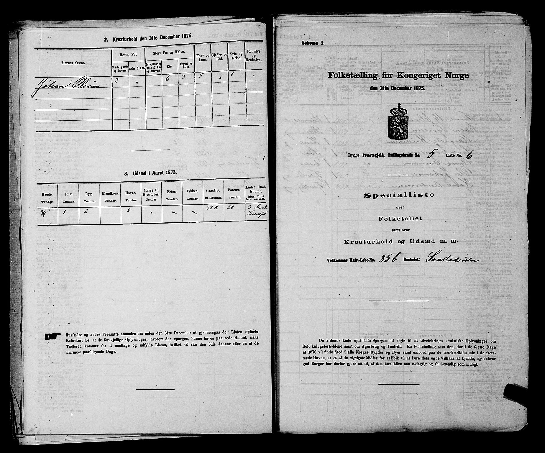 RA, 1875 census for 0136P Rygge, 1875, p. 810