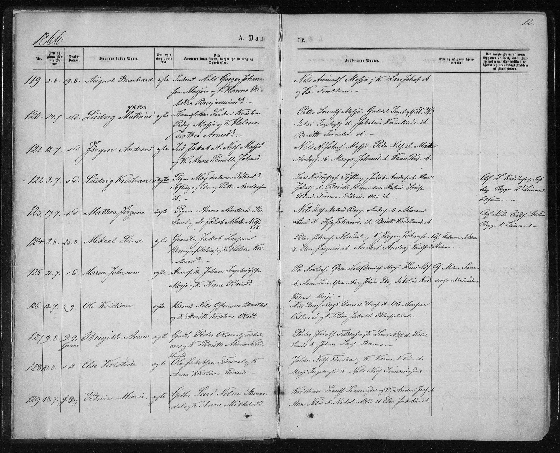 Ministerialprotokoller, klokkerbøker og fødselsregistre - Nordland, SAT/A-1459/820/L0294: Parish register (official) no. 820A15, 1866-1879, p. 12