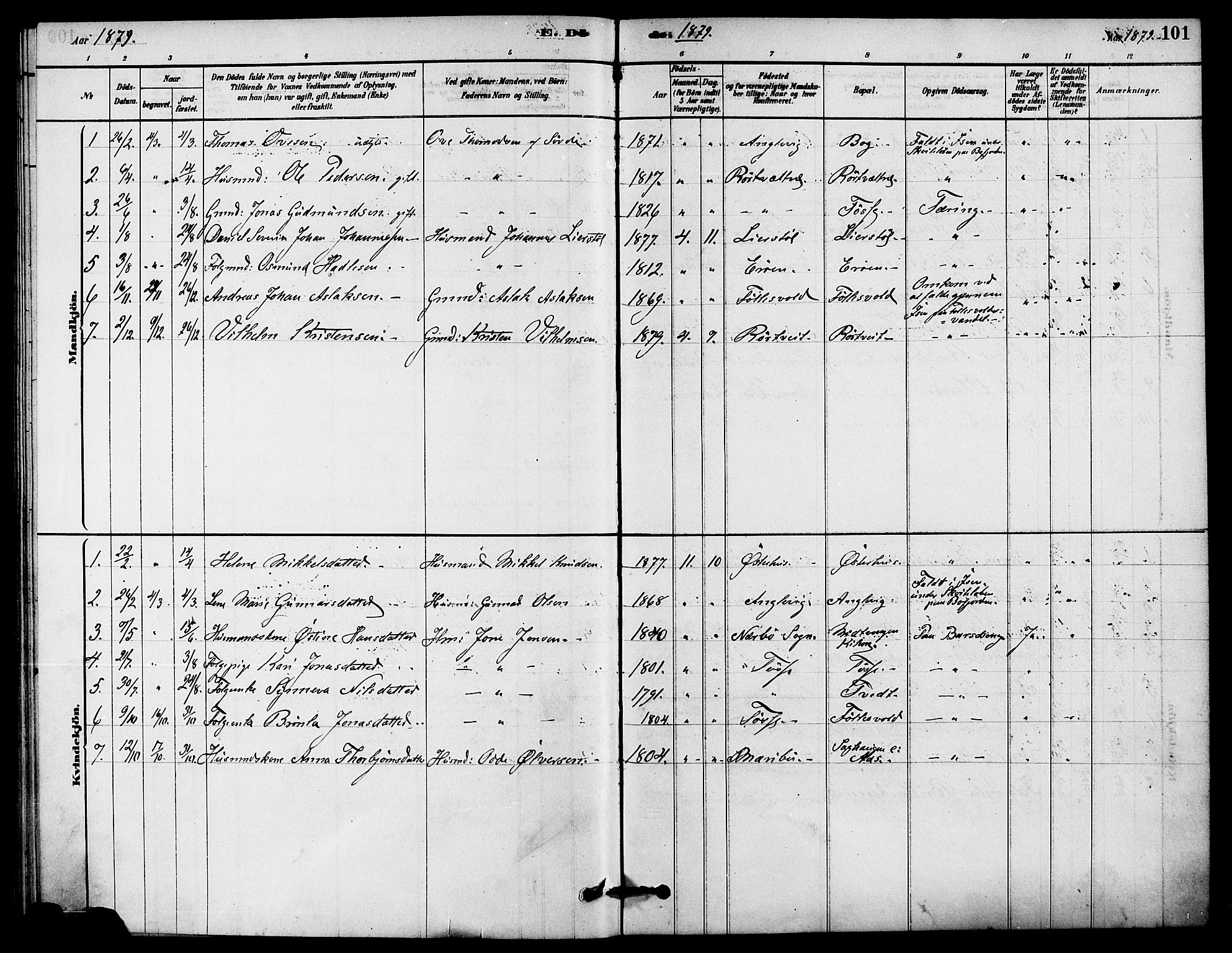 Jelsa sokneprestkontor, SAST/A-101842/01/IV: Parish register (official) no. A 9, 1878-1898, p. 101