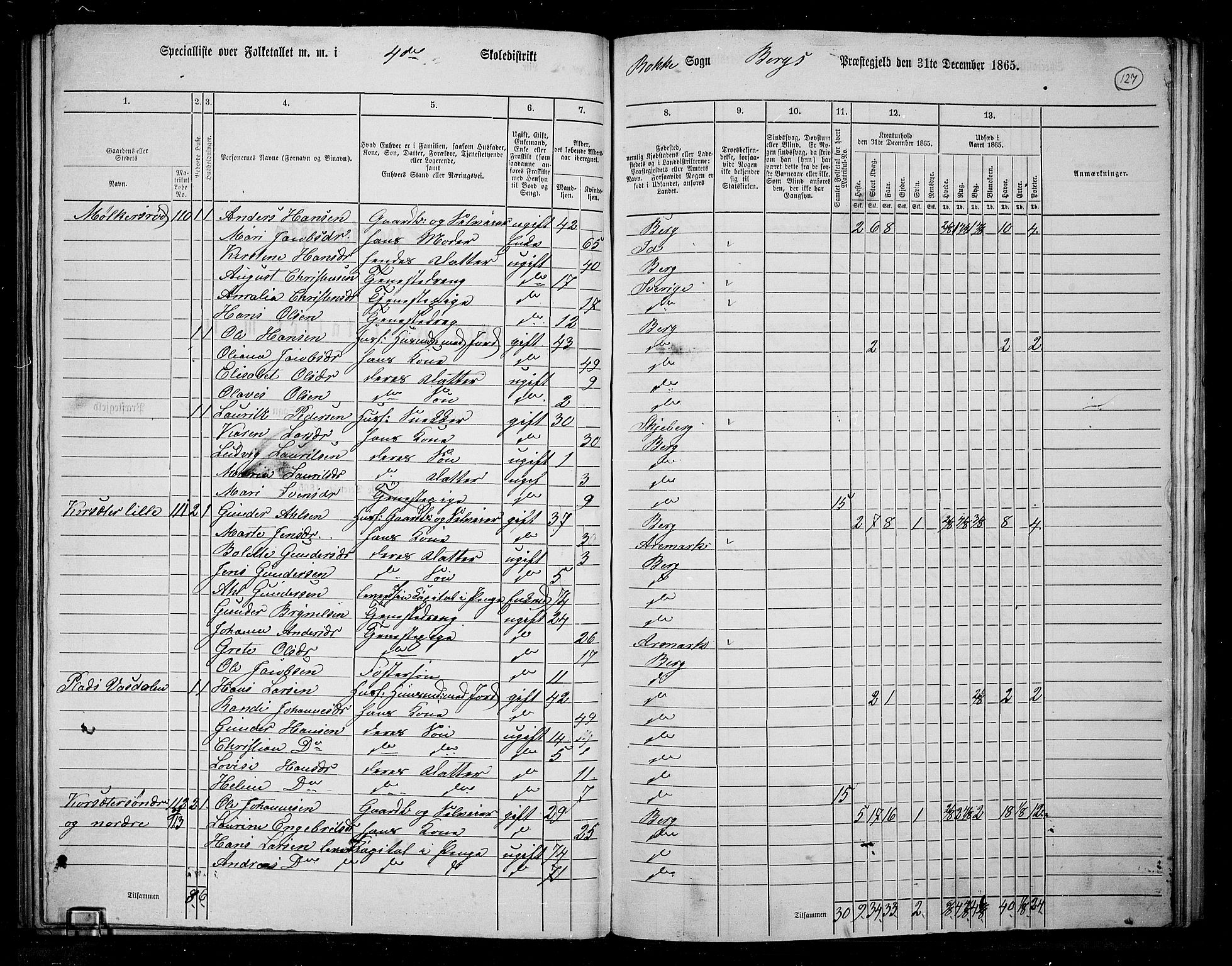 RA, 1865 census for Berg, 1865, p. 110