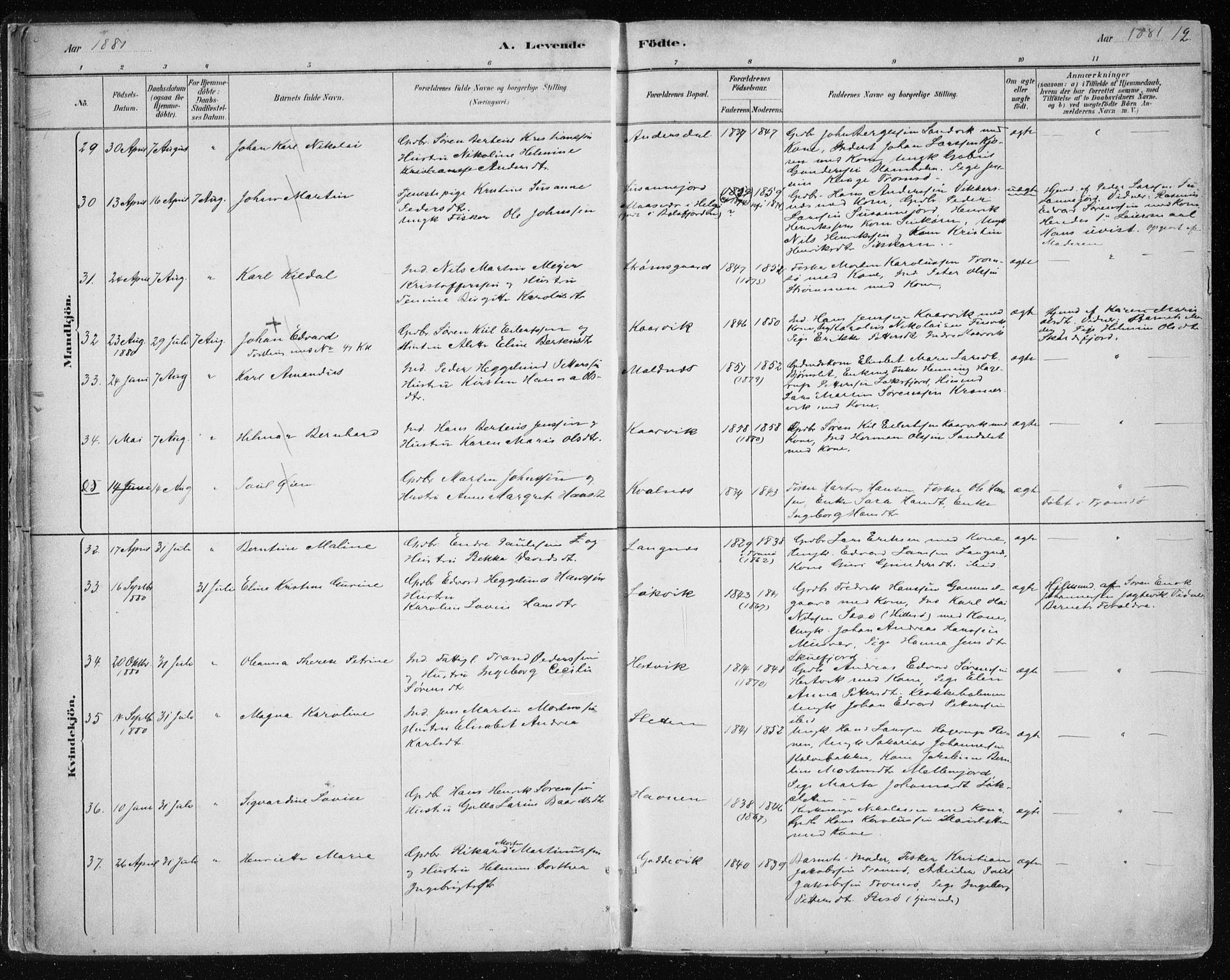 Tromsøysund sokneprestkontor, SATØ/S-1304/G/Ga/L0004kirke: Parish register (official) no. 4, 1880-1888, p. 12