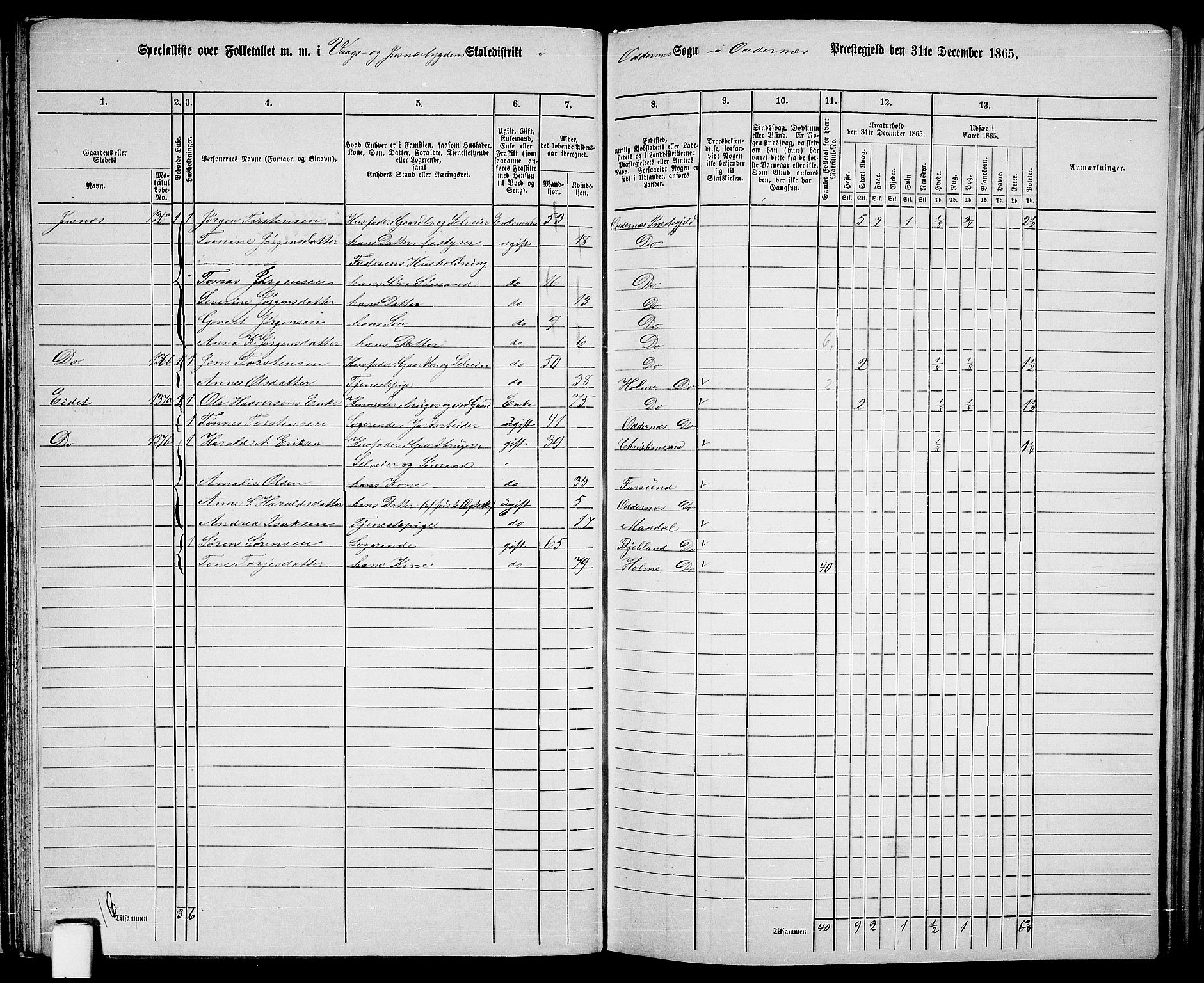 RA, 1865 census for Oddernes, 1865, p. 50