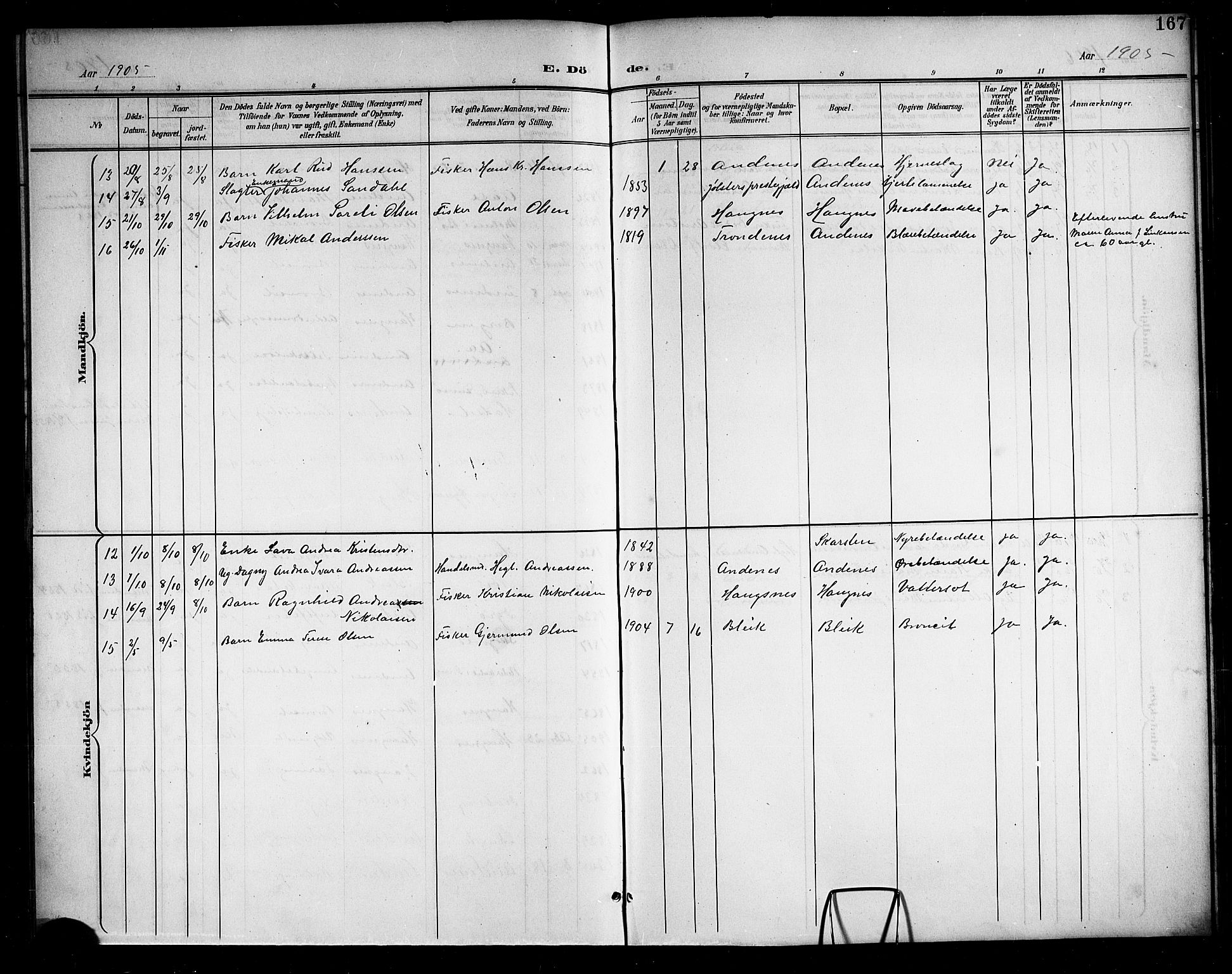 Ministerialprotokoller, klokkerbøker og fødselsregistre - Nordland, AV/SAT-A-1459/899/L1449: Parish register (copy) no. 899C04, 1900-1918, p. 167