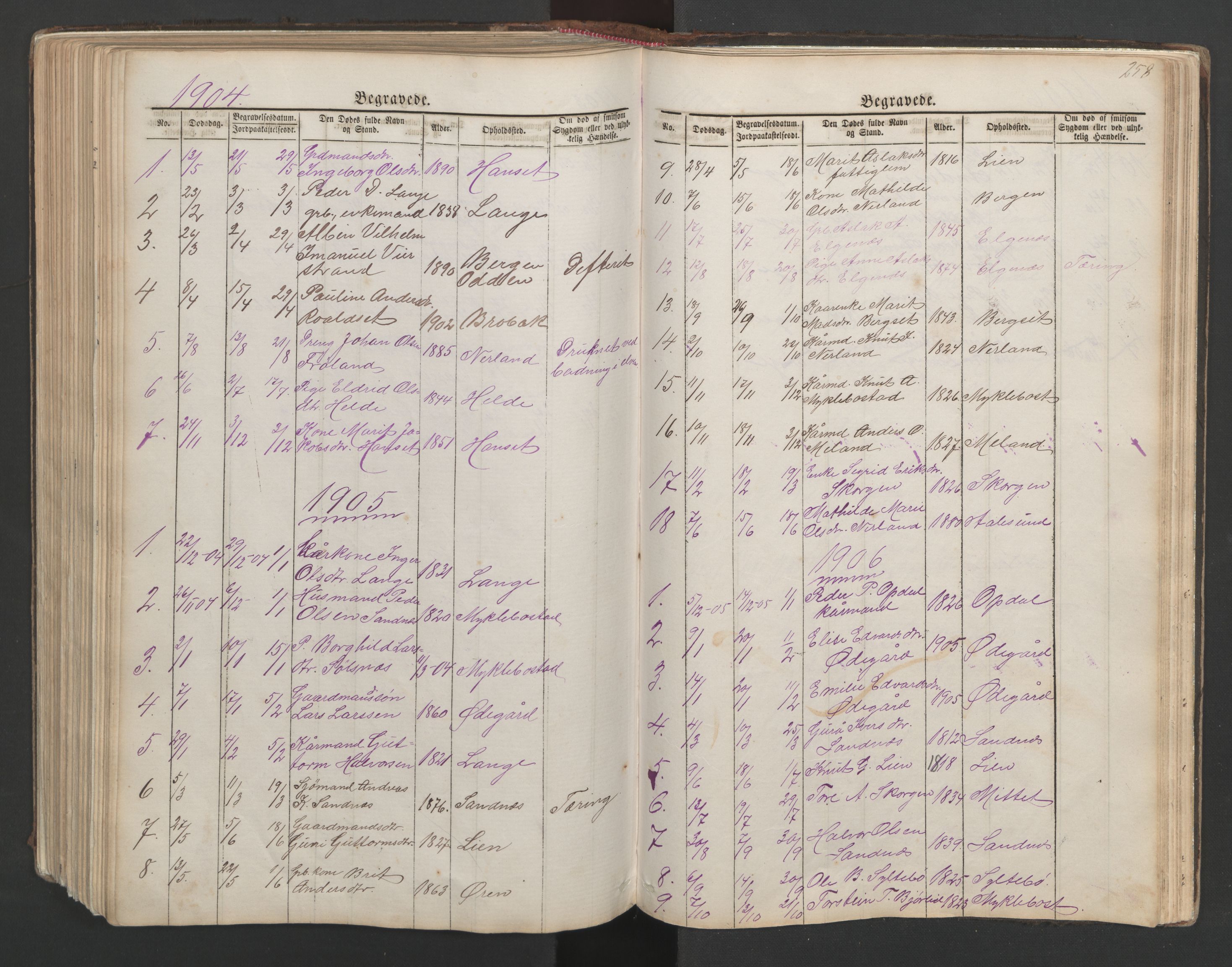 Ministerialprotokoller, klokkerbøker og fødselsregistre - Møre og Romsdal, AV/SAT-A-1454/554/L0645: Parish register (copy) no. 554C02, 1867-1946, p. 258