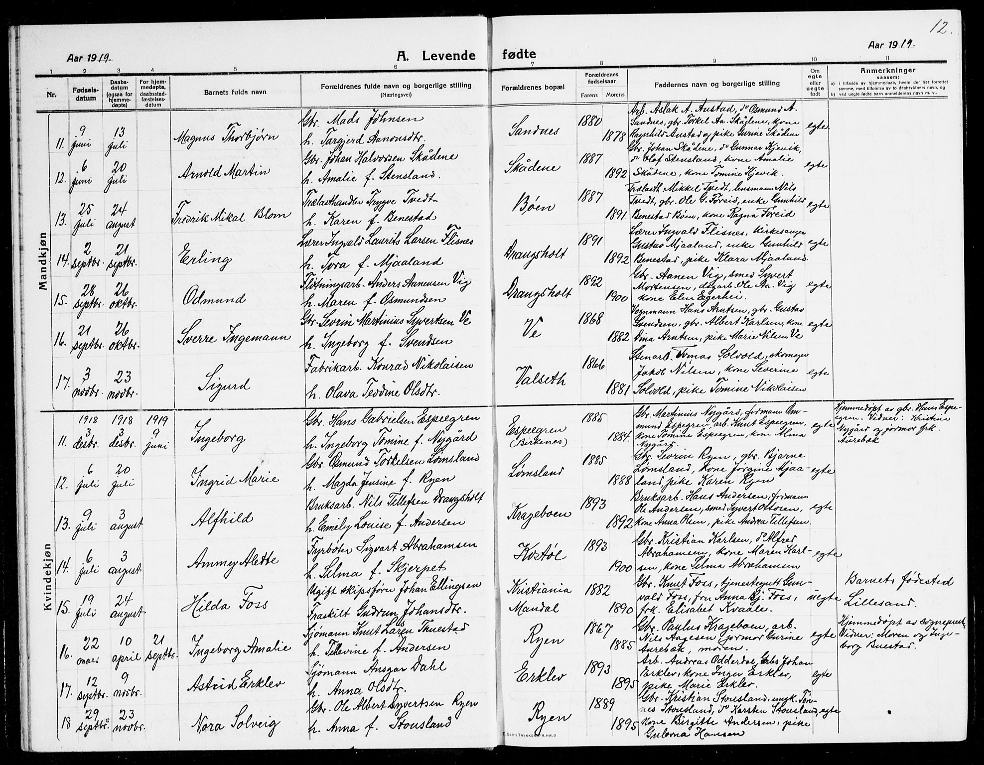 Tveit sokneprestkontor, SAK/1111-0043/F/Fb/L0005: Parish register (copy) no. B 5, 1915-1941, p. 12