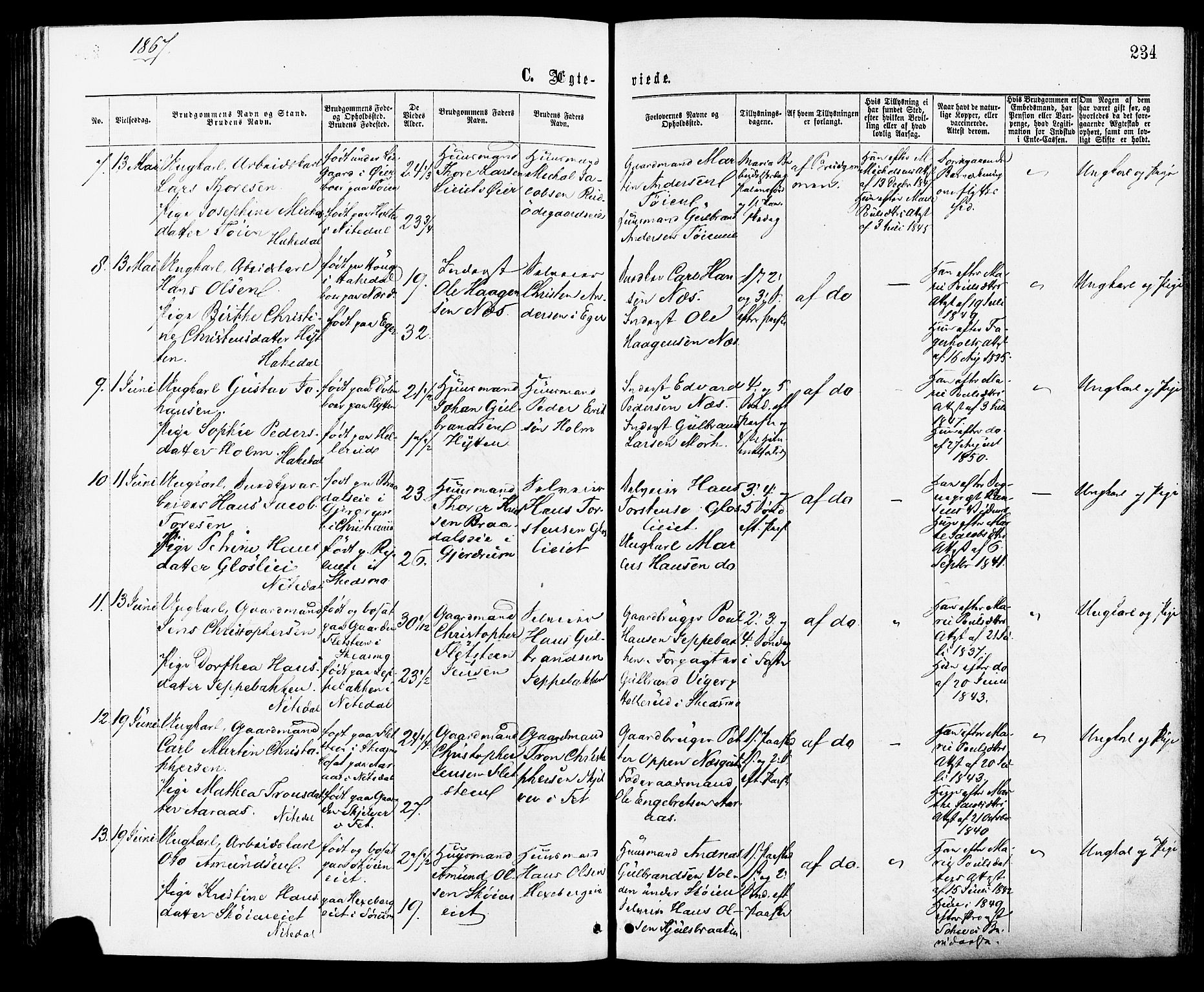 Nittedal prestekontor Kirkebøker, SAO/A-10365a/F/Fa/L0006: Parish register (official) no. I 6, 1863-1878, p. 234