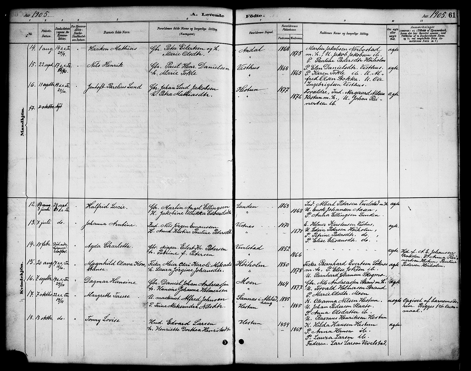 Ministerialprotokoller, klokkerbøker og fødselsregistre - Nordland, AV/SAT-A-1459/819/L0277: Parish register (copy) no. 819C03, 1888-1917, p. 61