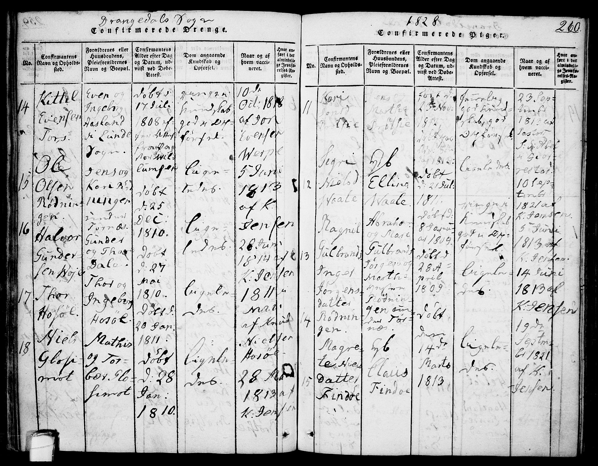 Drangedal kirkebøker, SAKO/A-258/F/Fa/L0005: Parish register (official) no. 5 /1, 1814-1831, p. 260