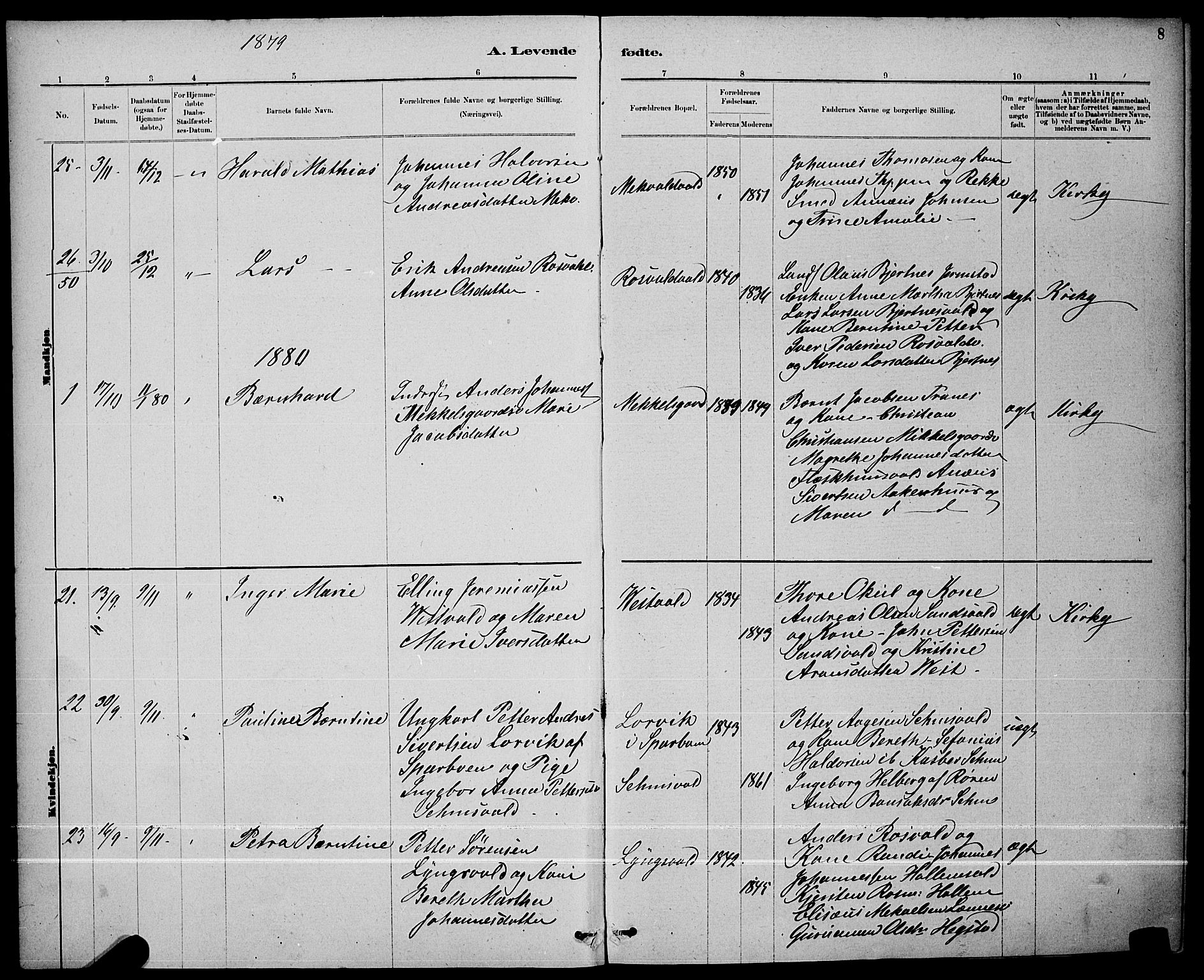 Ministerialprotokoller, klokkerbøker og fødselsregistre - Nord-Trøndelag, SAT/A-1458/723/L0256: Parish register (copy) no. 723C04, 1879-1890, p. 8