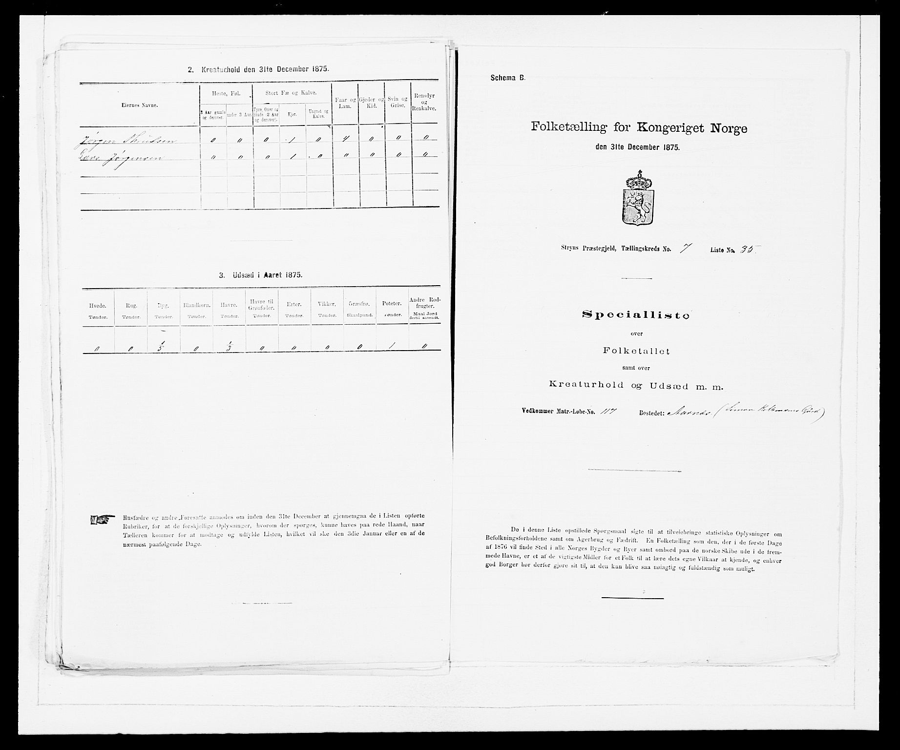 SAB, 1875 Census for 1448P Stryn, 1875, p. 517