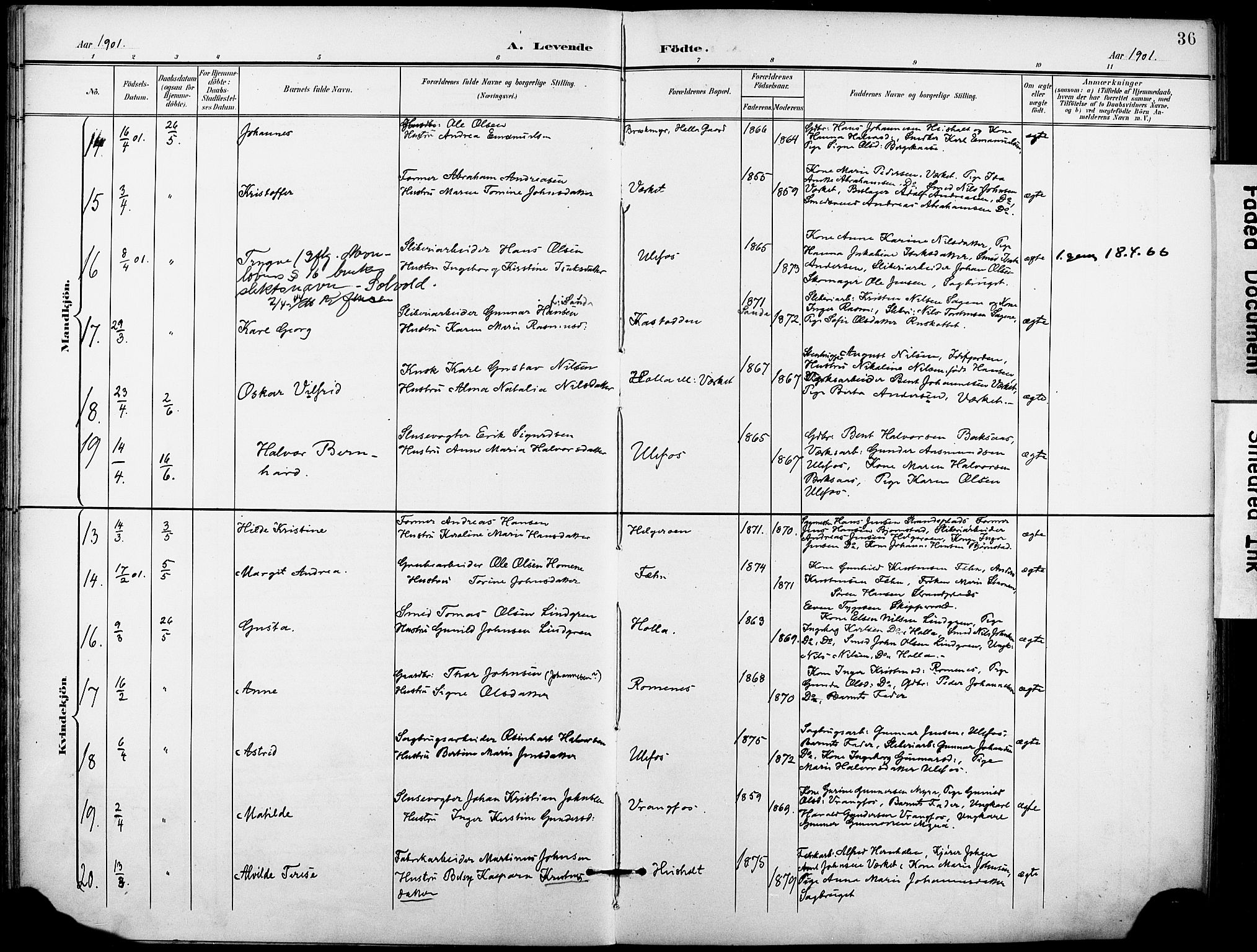 Holla kirkebøker, AV/SAKO-A-272/F/Fa/L0010: Parish register (official) no. 10, 1897-1907, p. 36