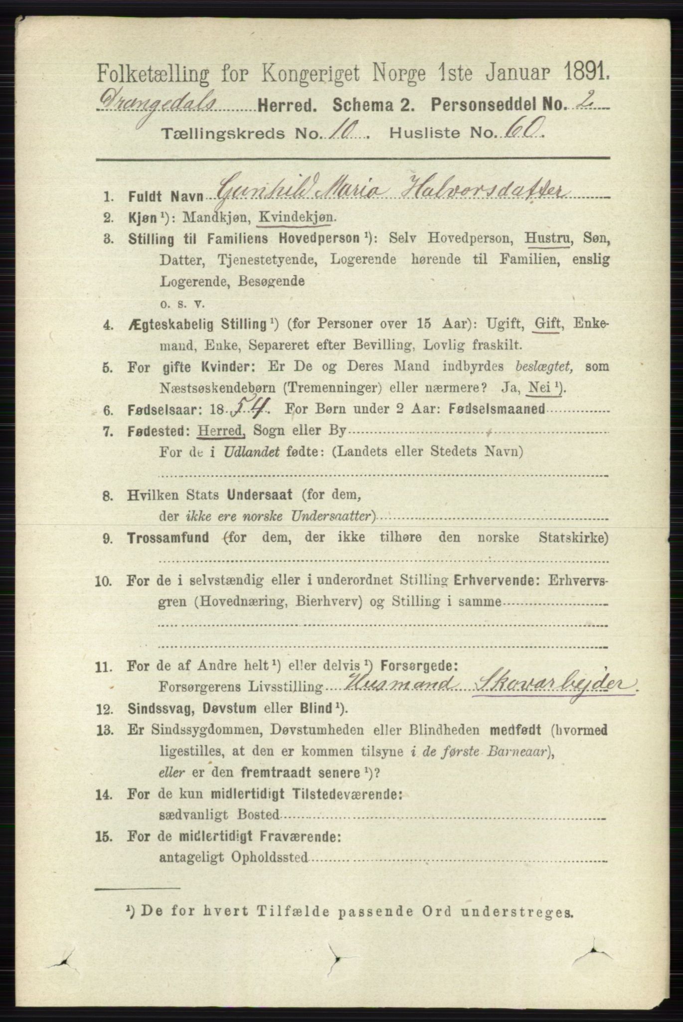 RA, 1891 census for 0817 Drangedal, 1891, p. 3801