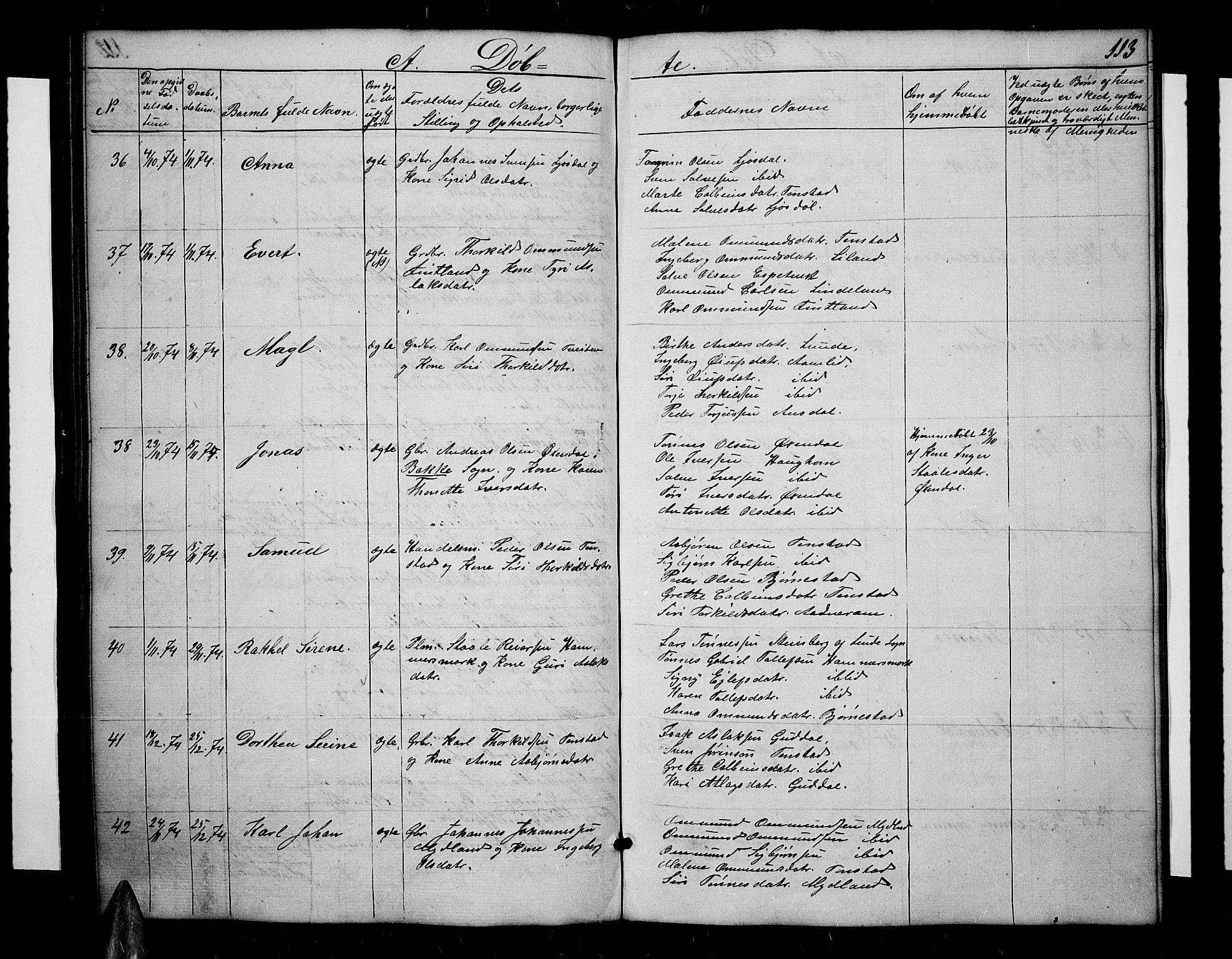 Sirdal sokneprestkontor, SAK/1111-0036/F/Fb/Fbb/L0002: Parish register (copy) no. B 2, 1848-1878, p. 113