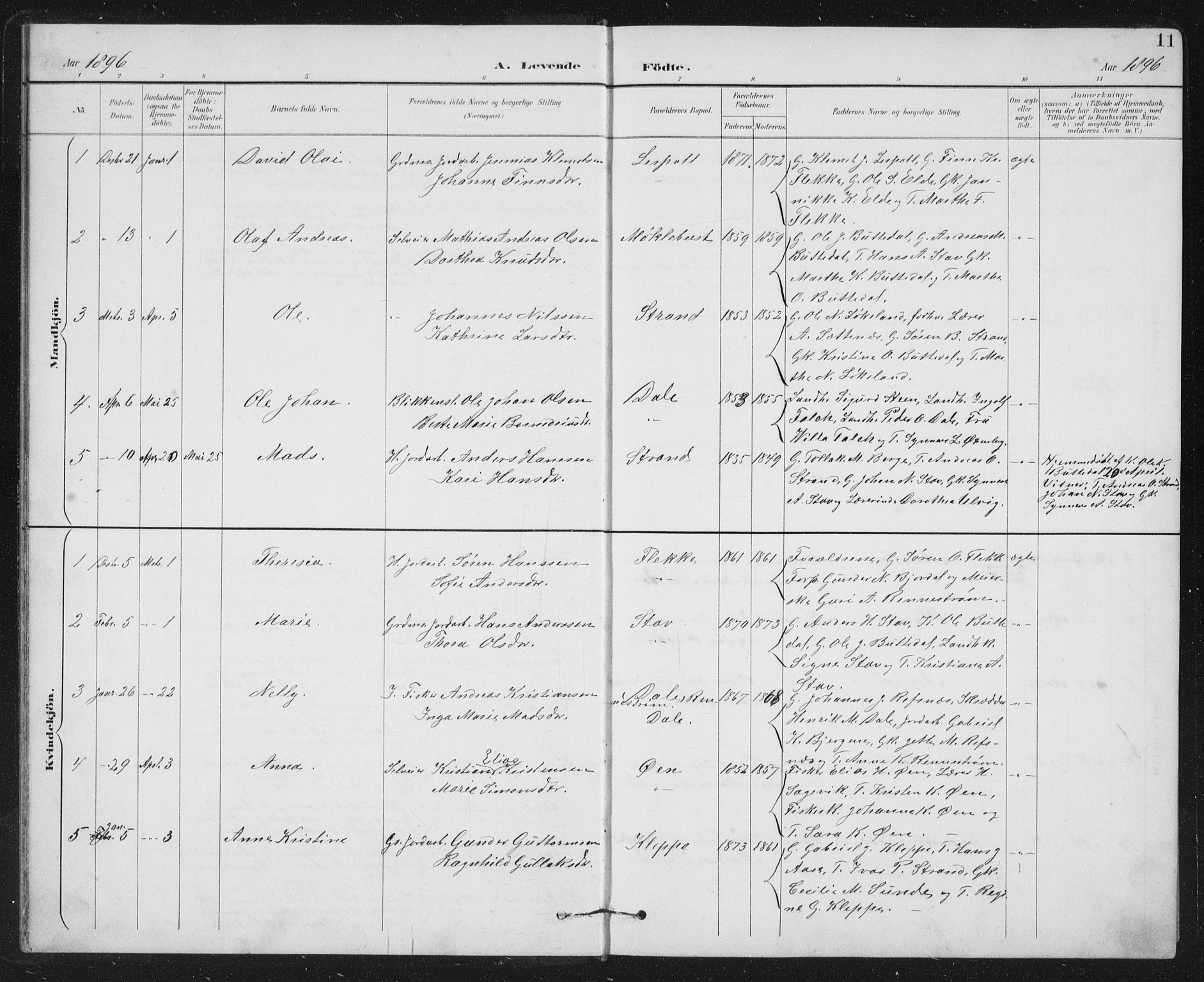 Fjaler sokneprestembete, SAB/A-79801/H/Hab/Habc/L0003: Parish register (copy) no. C 3, 1894-1917, p. 11