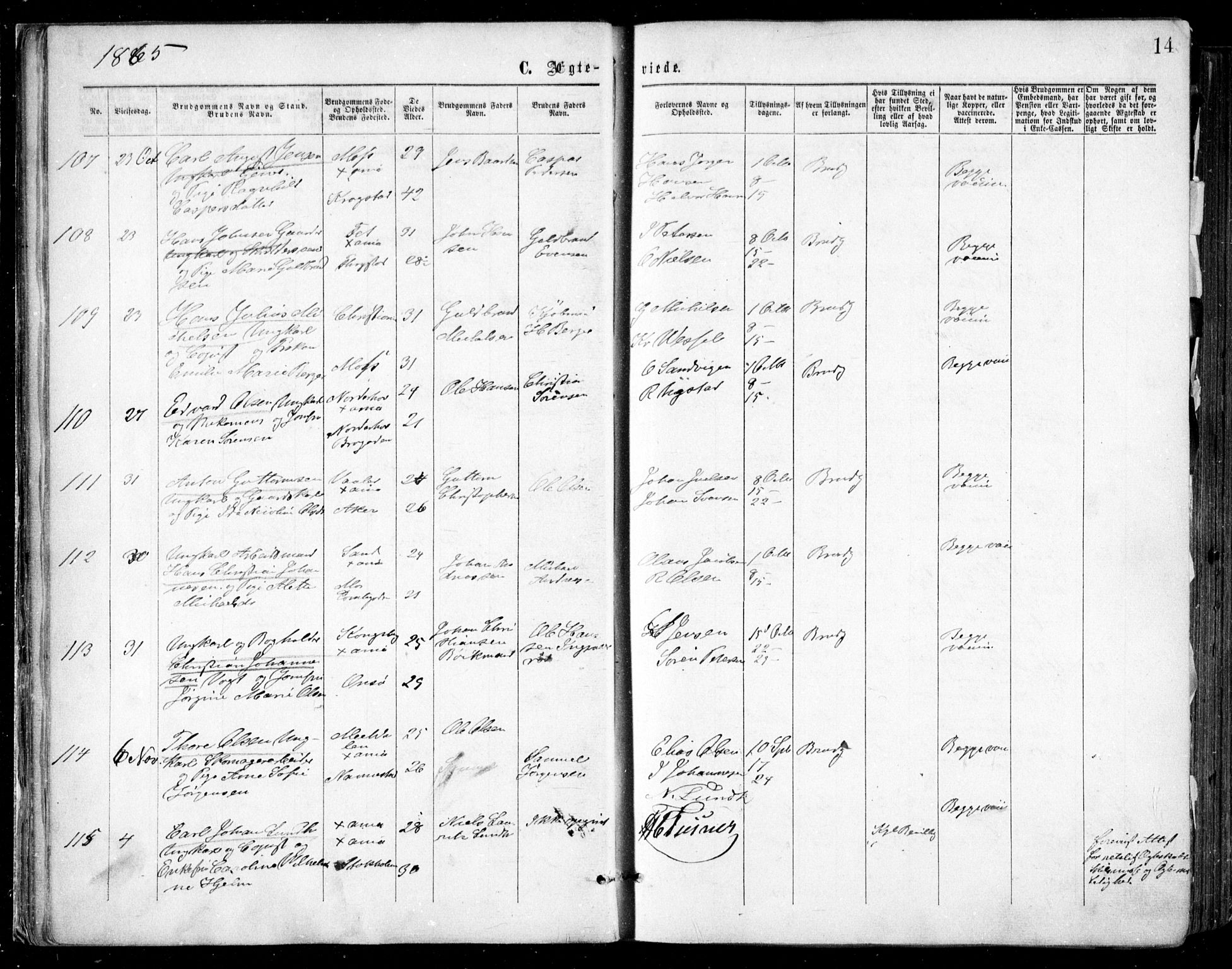 Oslo domkirke Kirkebøker, AV/SAO-A-10752/F/Fa/L0021: Parish register (official) no. 21, 1865-1884, p. 14