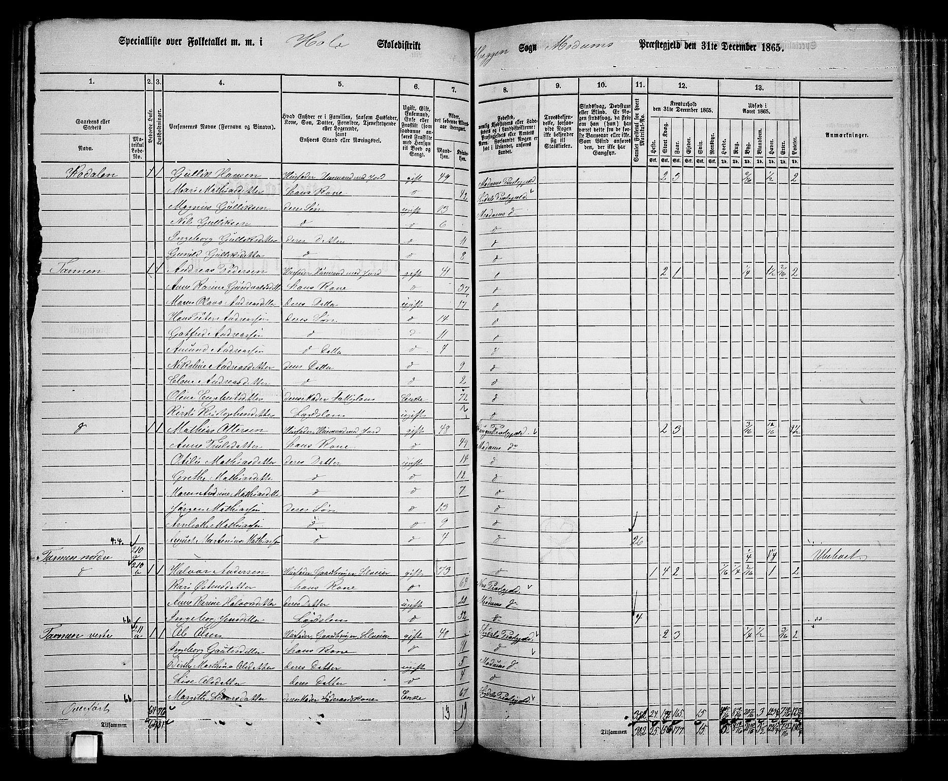 RA, 1865 census for Modum, 1865, p. 183