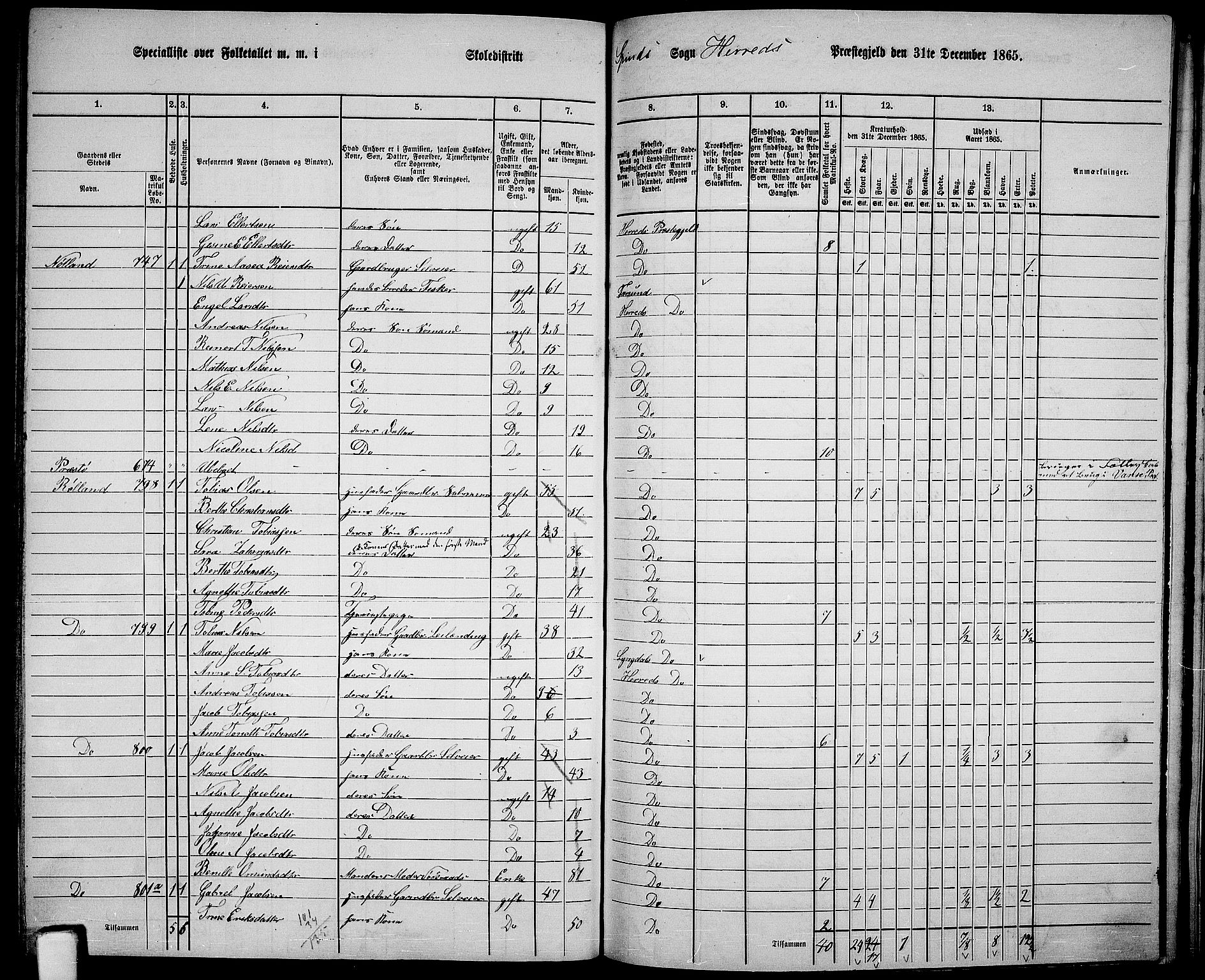 RA, 1865 census for Herad, 1865, p. 78