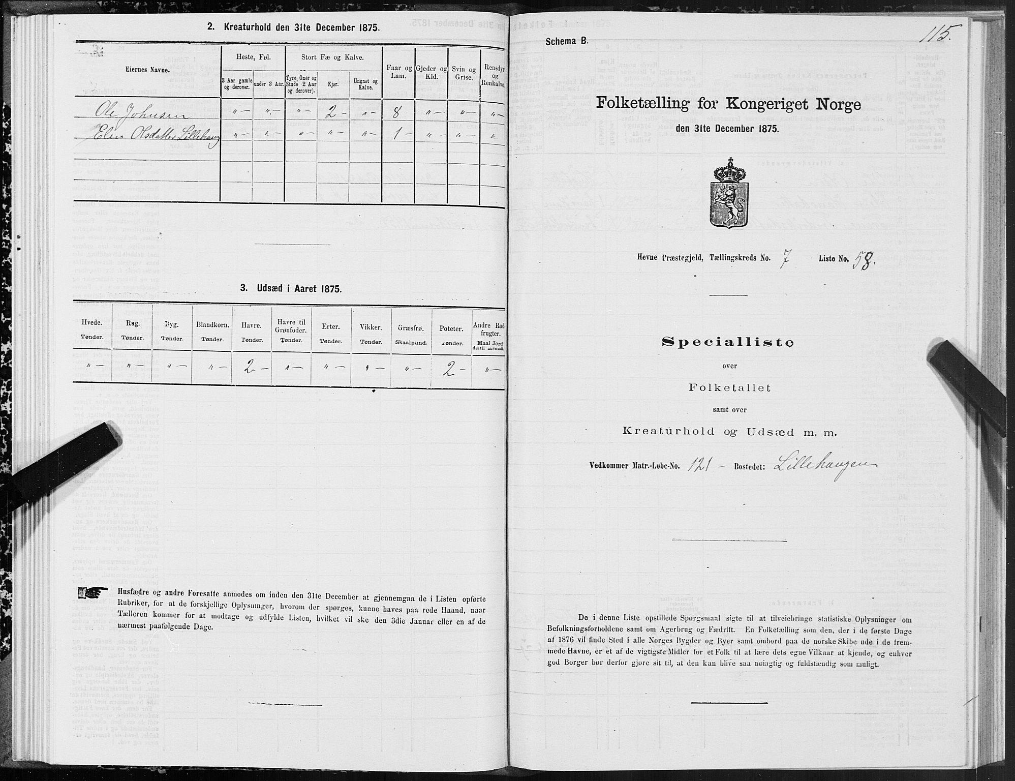 SAT, 1875 census for 1612P Hemne, 1875, p. 4115