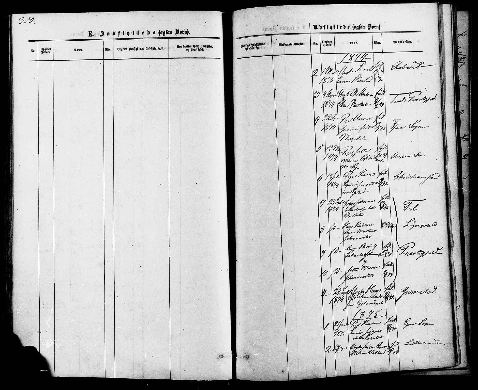Kvinesdal sokneprestkontor, SAK/1111-0026/F/Fa/Fab/L0007: Parish register (official) no. A 7, 1870-1885, p. 300