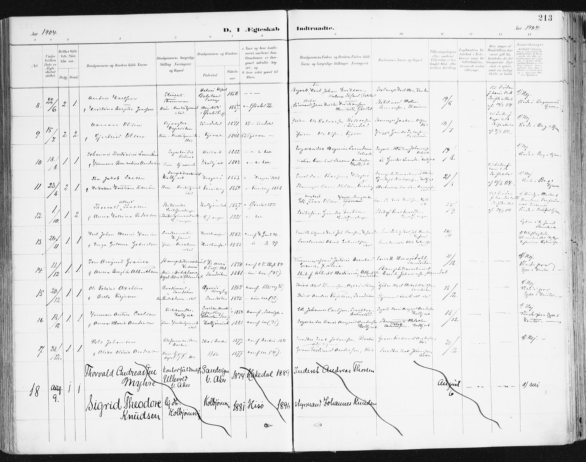 Hisøy sokneprestkontor, SAK/1111-0020/F/Fa/L0004: Parish register (official) no. A 4, 1895-1917, p. 213
