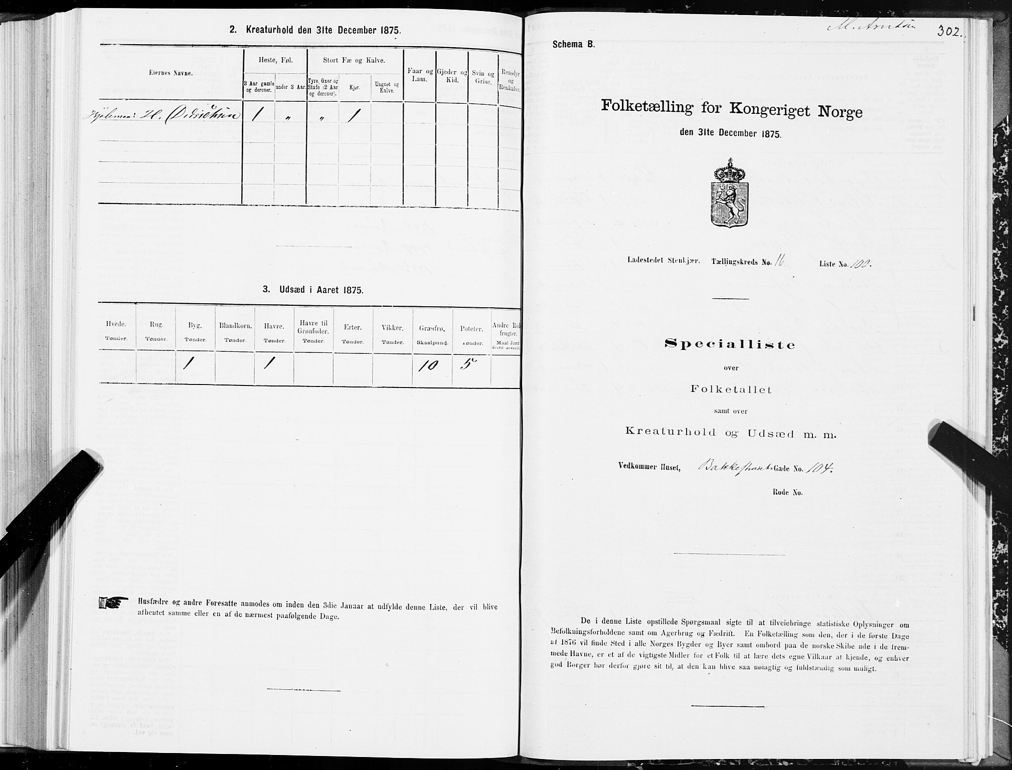 SAT, 1875 census for 1702B Steinkjer/Steinkjer, 1875, p. 302