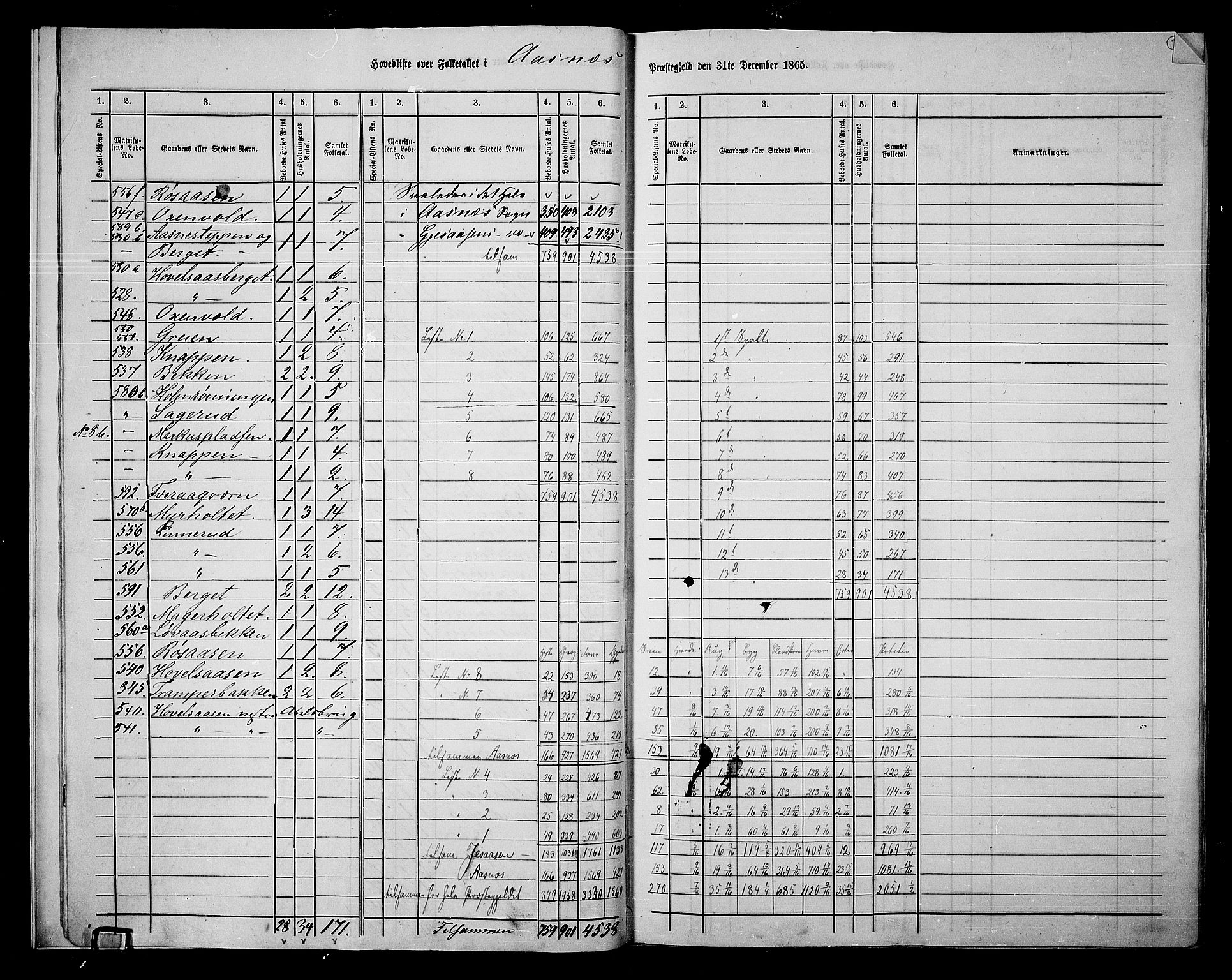 RA, 1865 census for Åsnes, 1865, p. 10