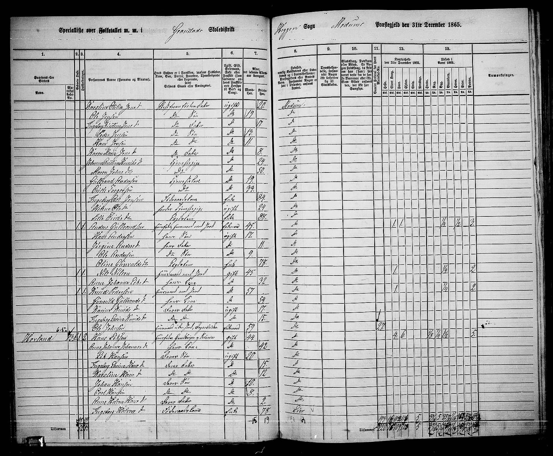 RA, 1865 census for Modum, 1865, p. 60