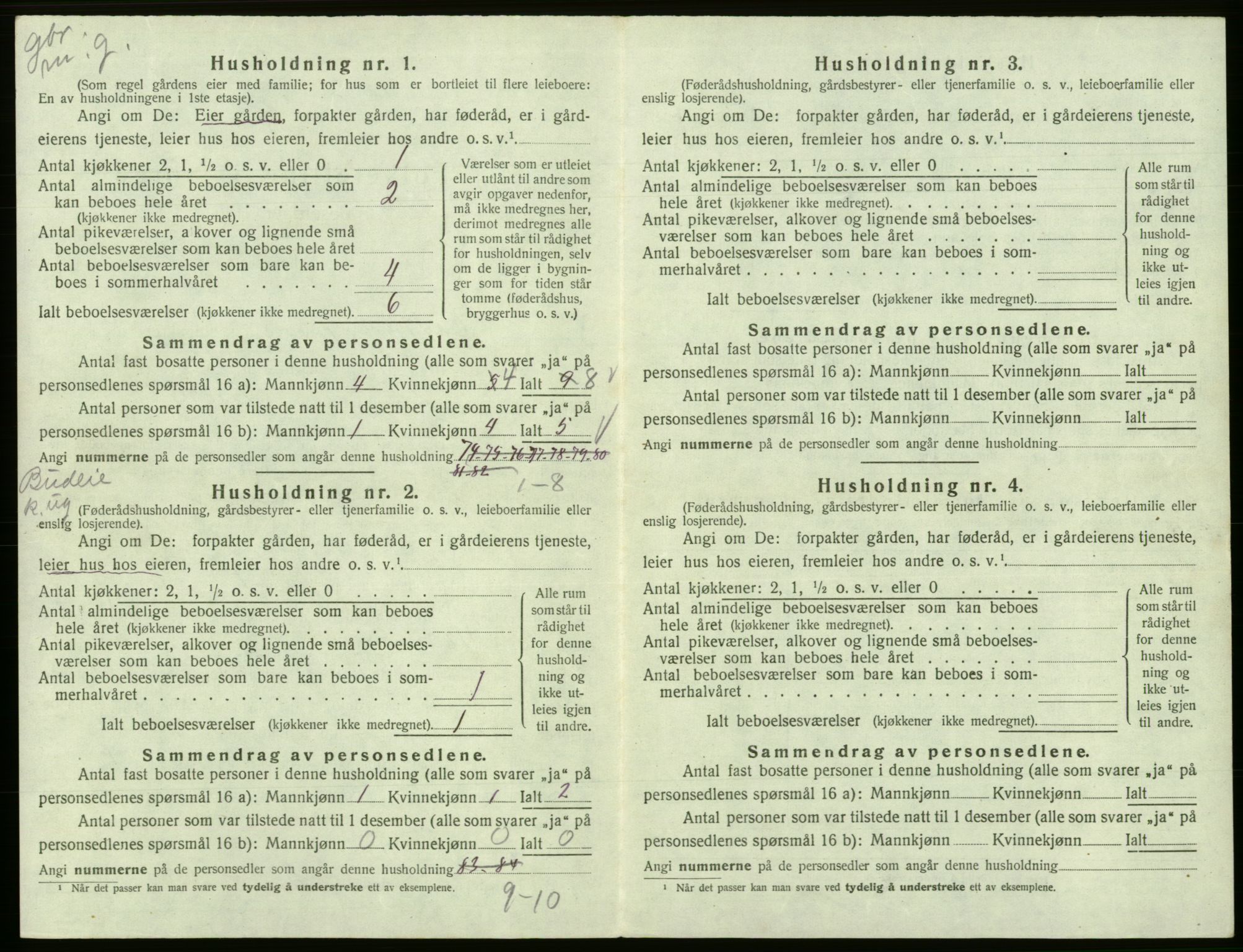 SAB, 1920 census for Eidfjord, 1920, p. 313