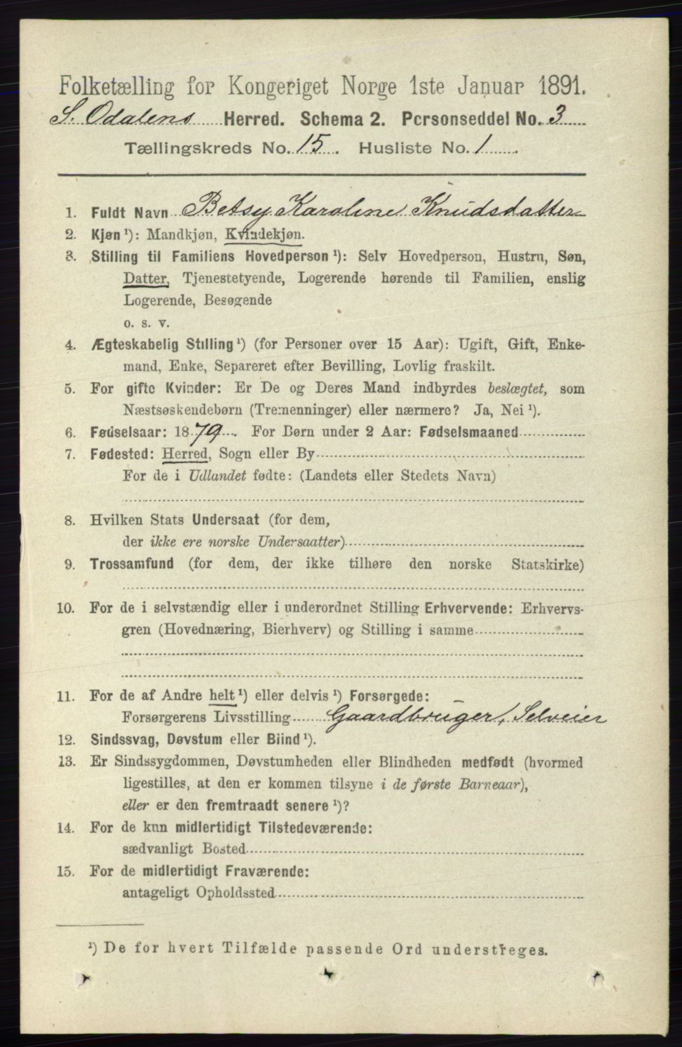 RA, 1891 census for 0419 Sør-Odal, 1891, p. 6575