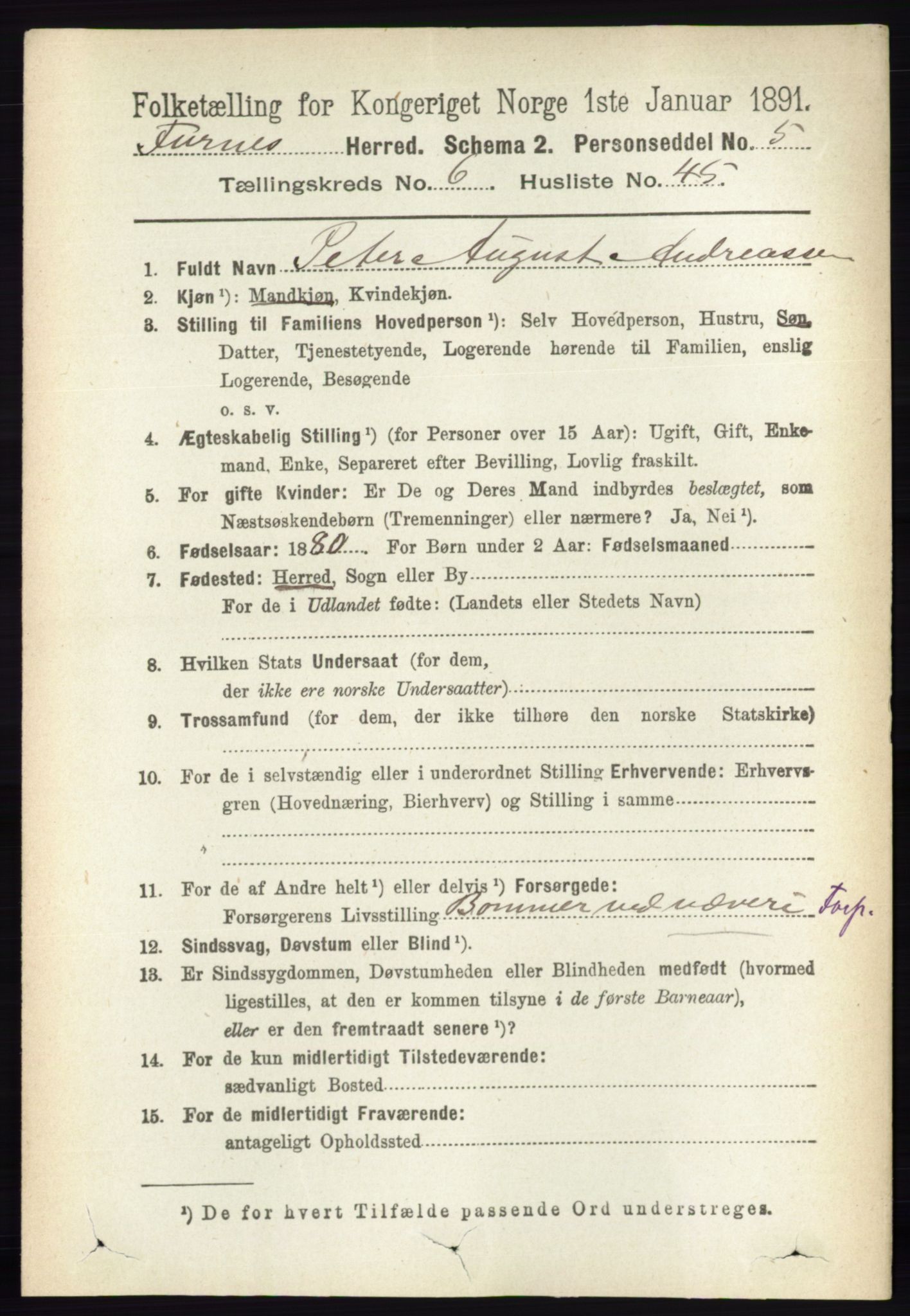 RA, Census 1891 for 0413 Furnes herred, 1891, p. 4333